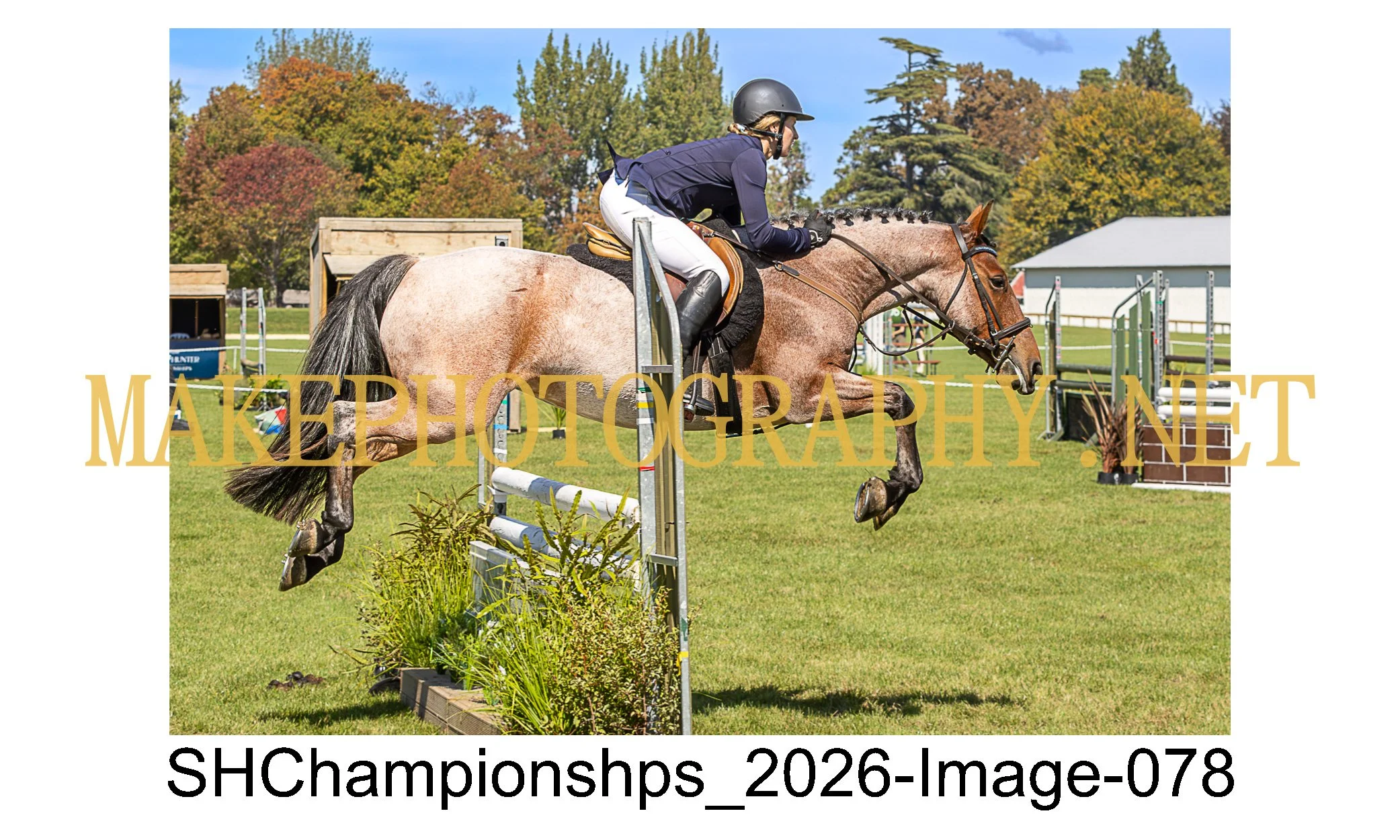 showhunter 2026-078.jpg