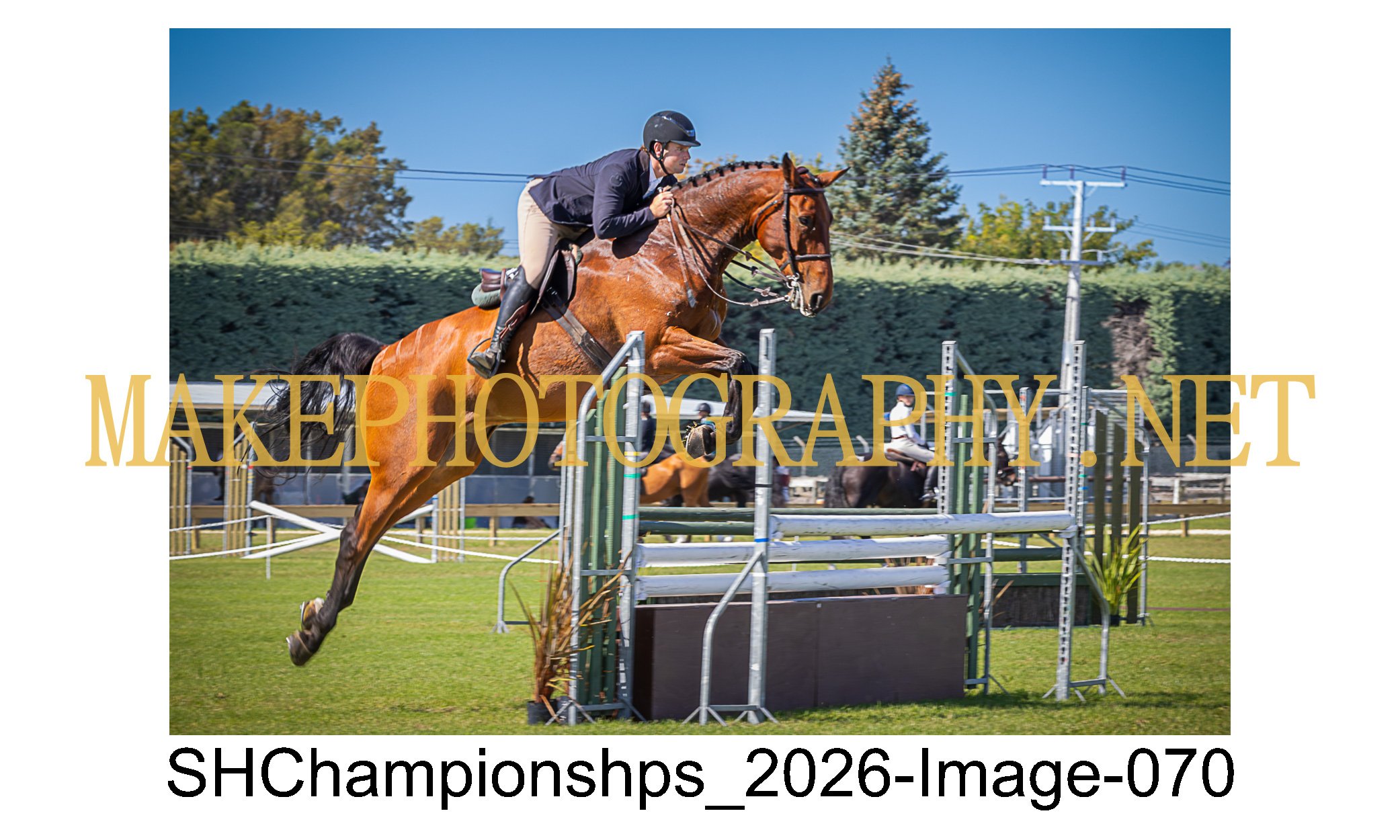 showhunter 2026-070.jpg