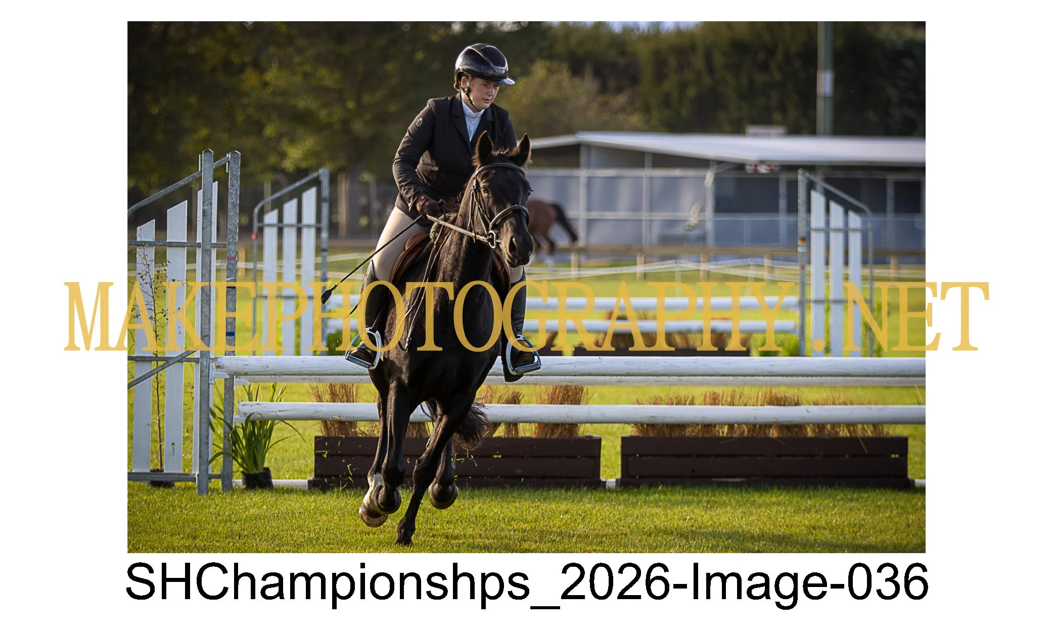 showhunter 2026-036.jpg