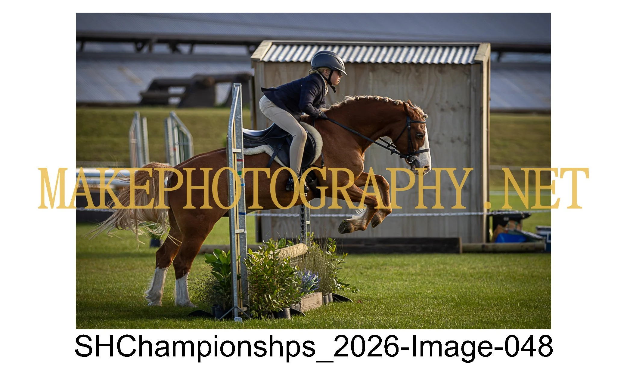 showhunter 2026-048.jpg