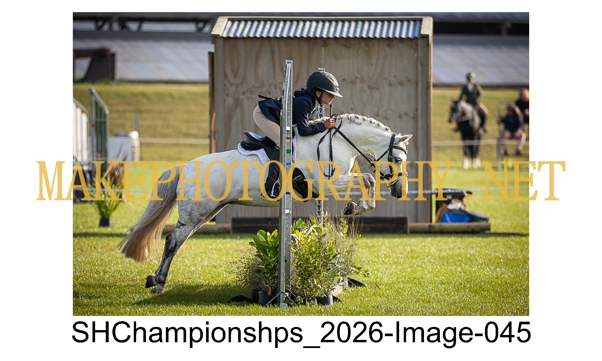 showhunter 2026-045.jpg