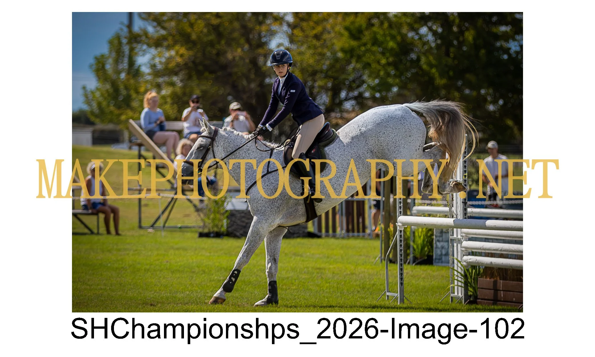 showhunter 2026-102.jpg