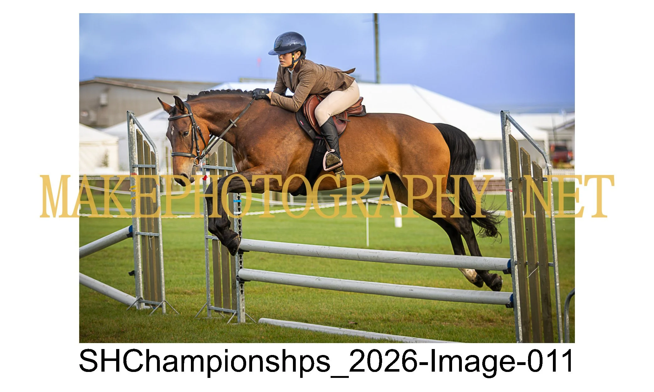 showhunter 2026-011.jpg