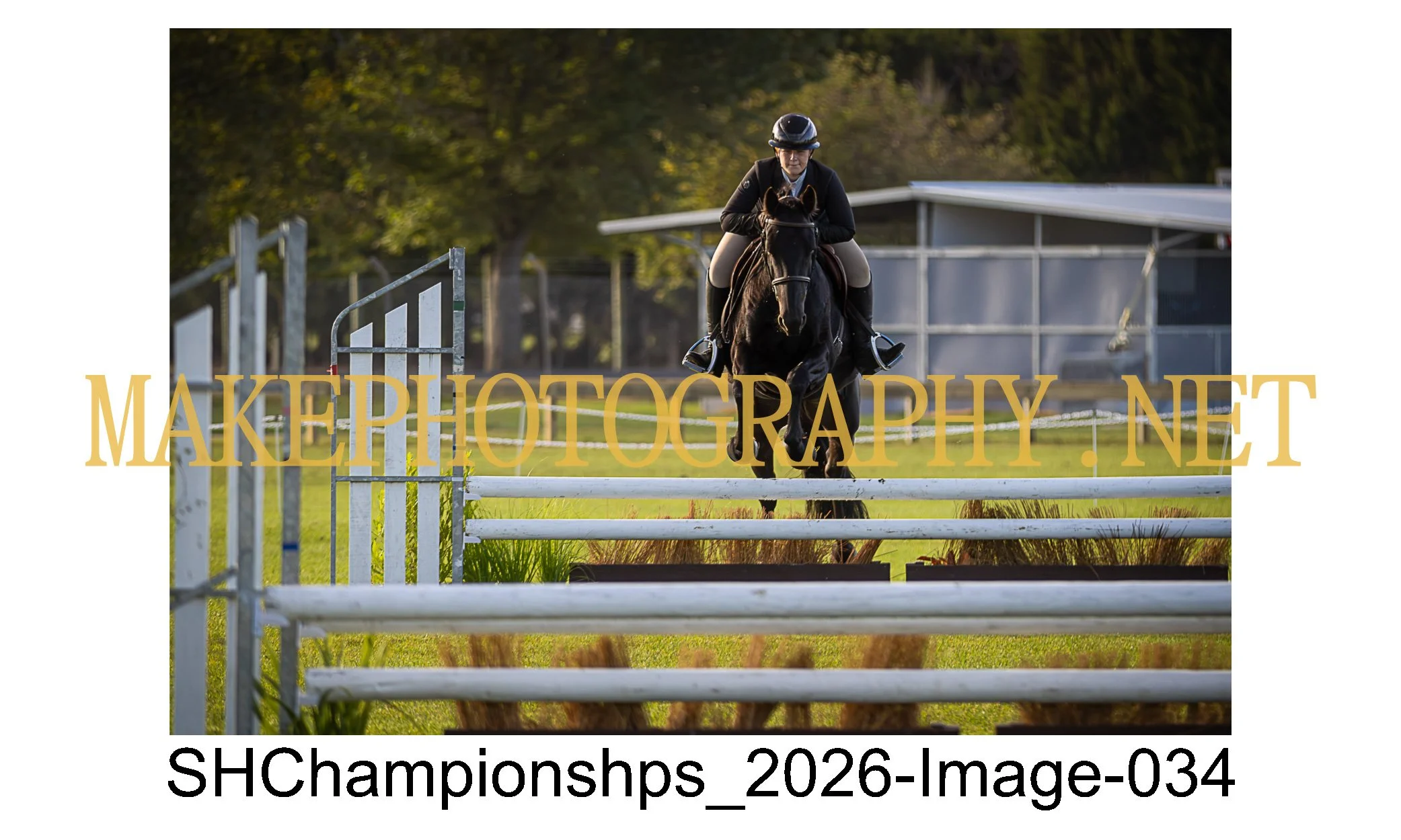 showhunter 2026-034.jpg