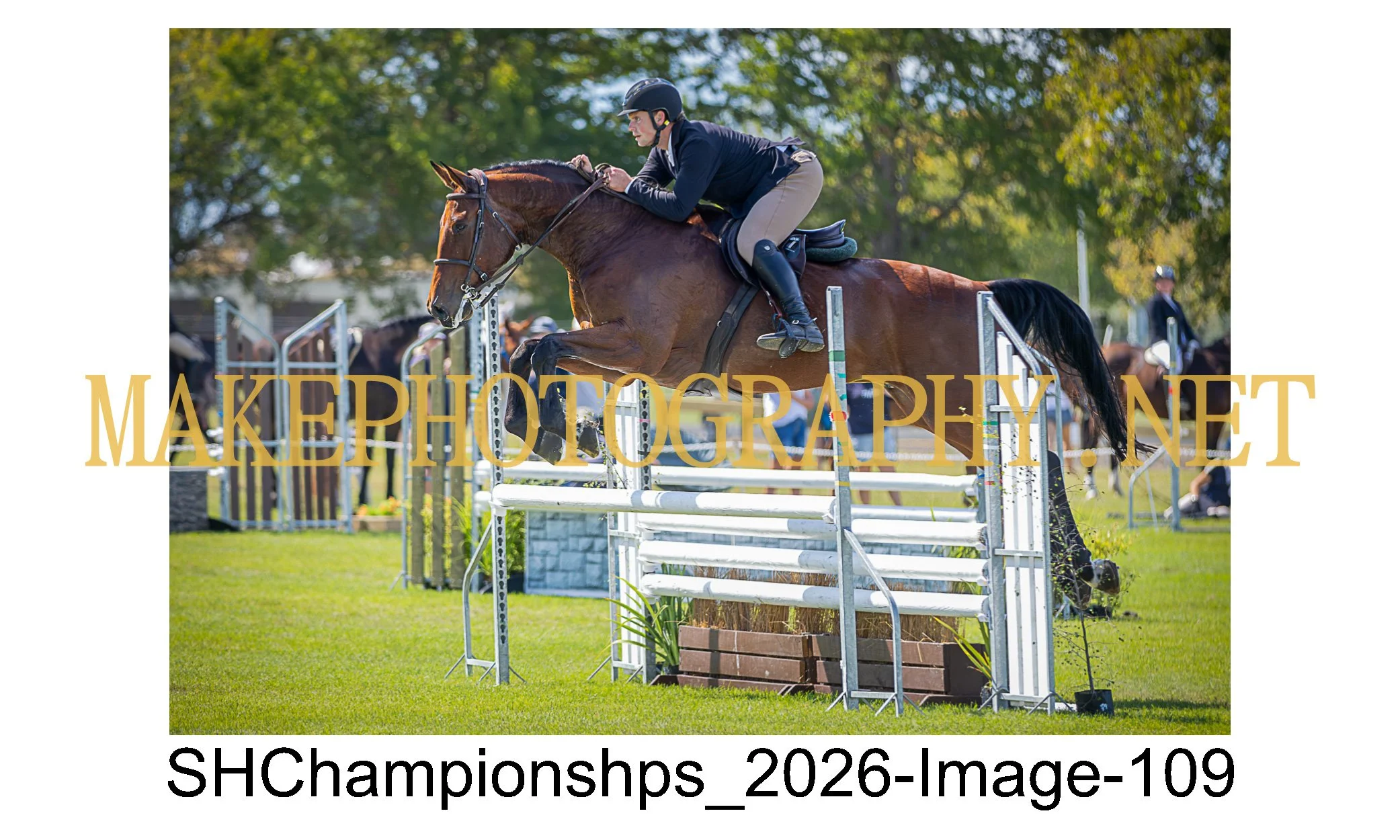 showhunter 2026-109.jpg