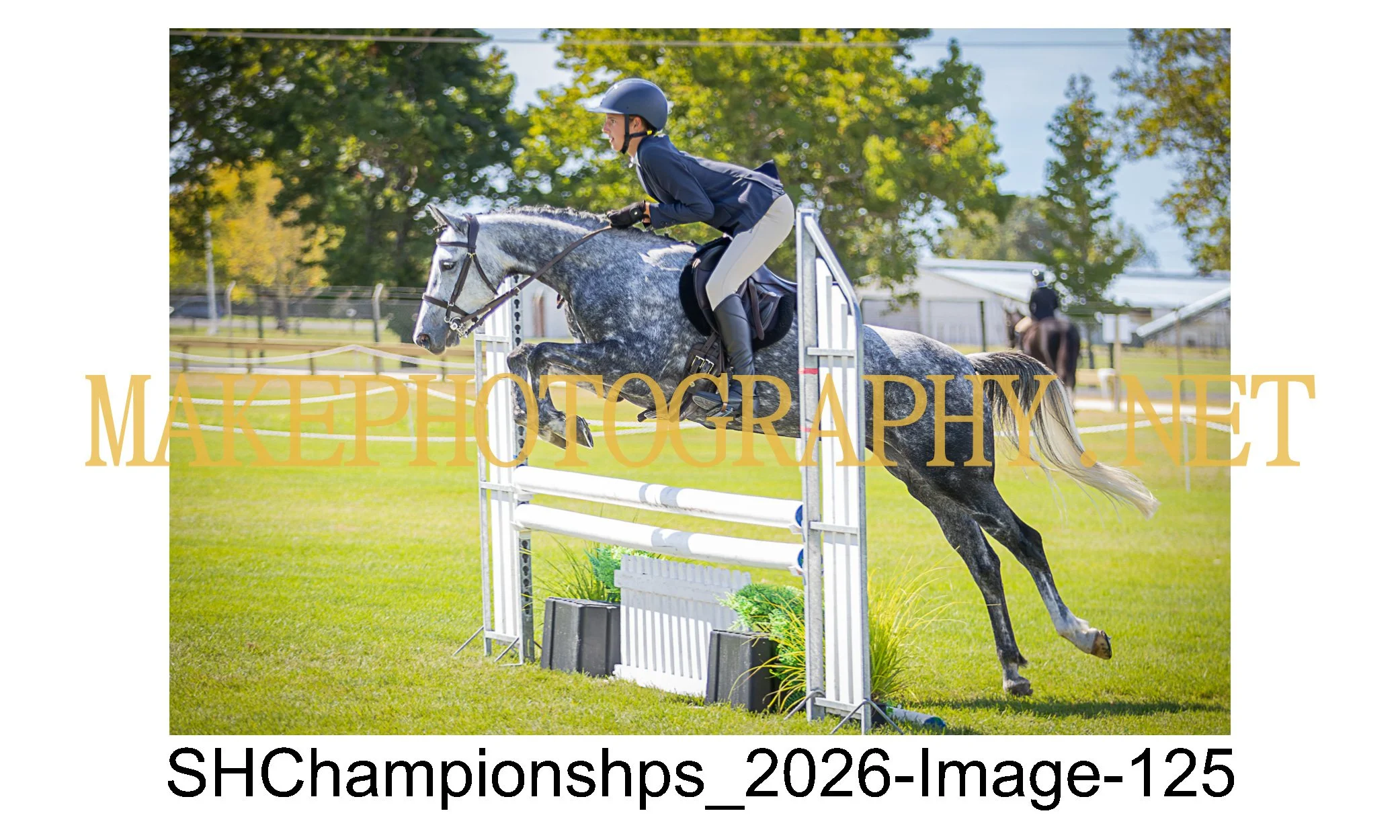 showhunter 2026-125.jpg