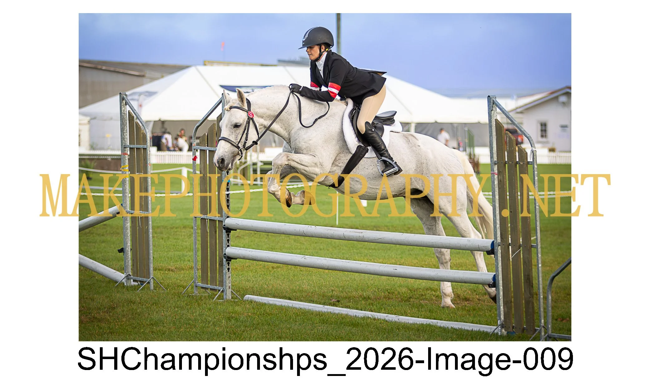 showhunter 2026-009.jpg