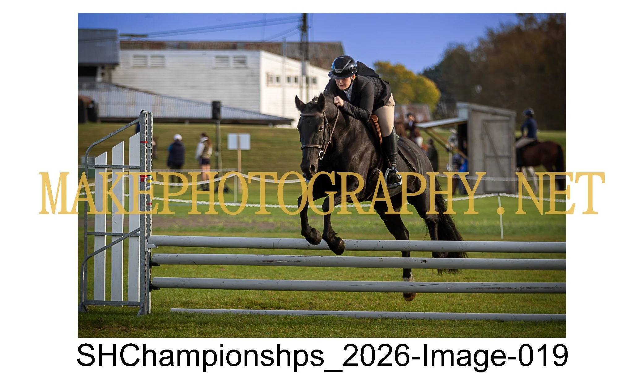 showhunter 2026-019.jpg