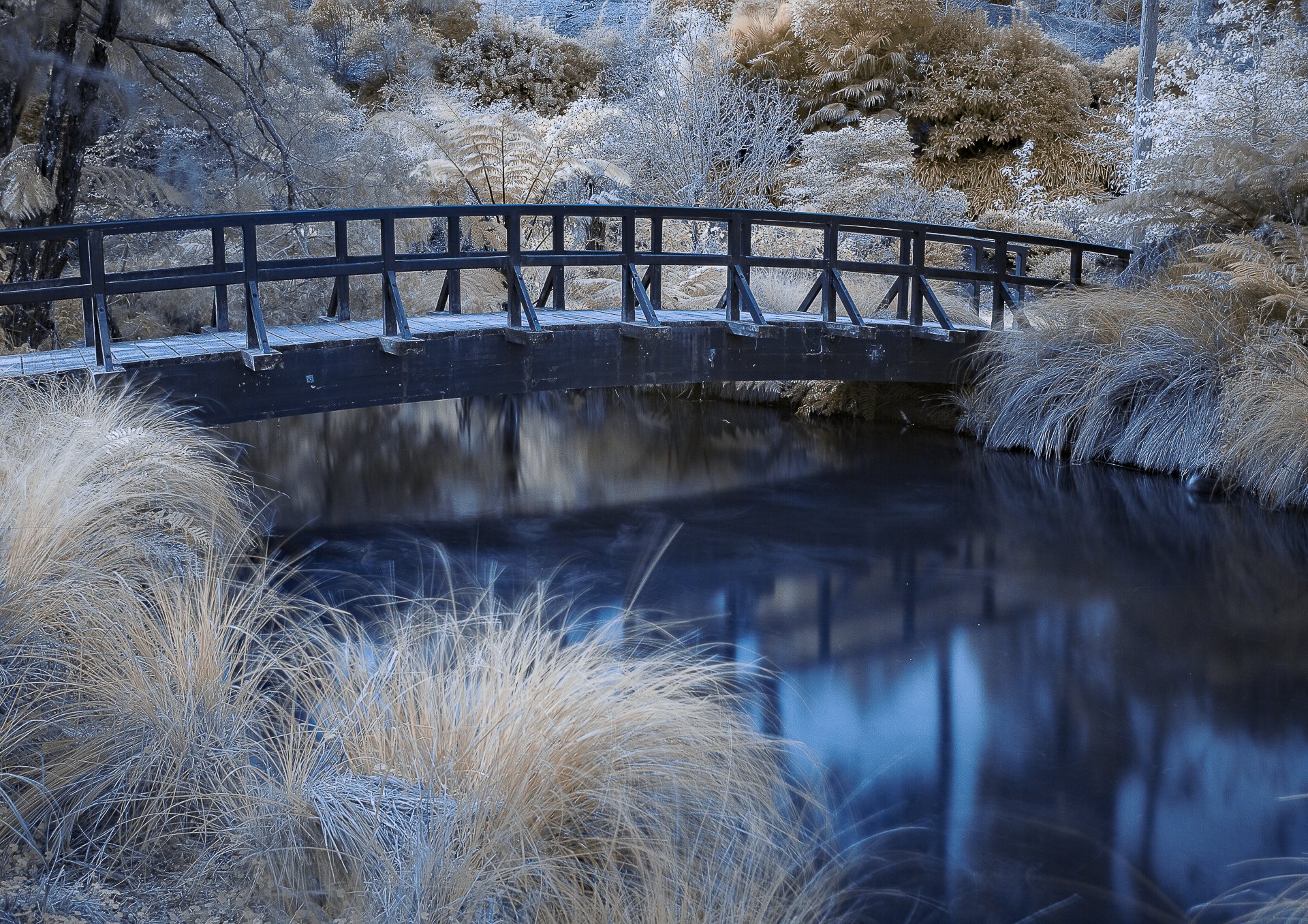 Virginia Lake