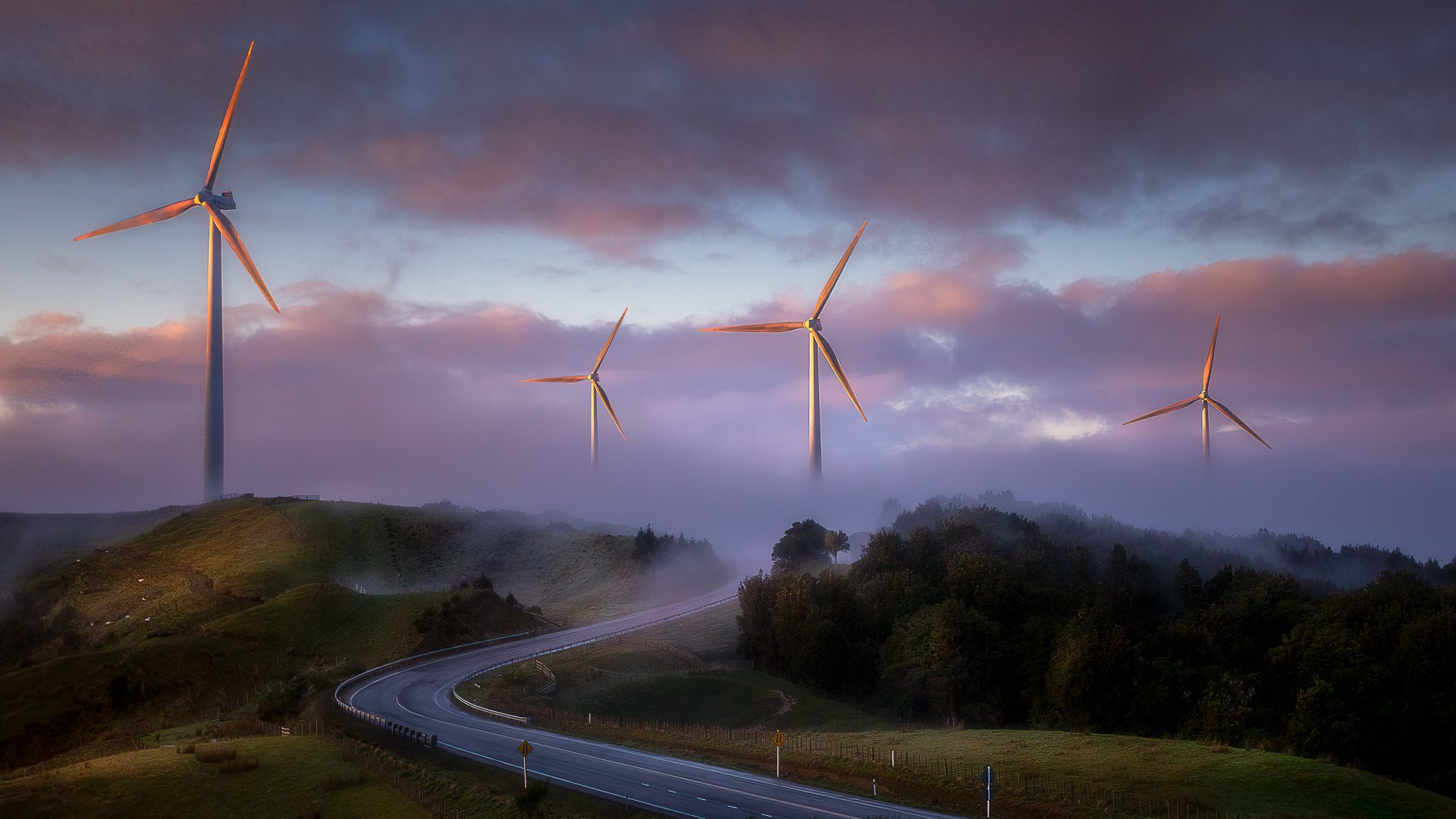 Windmills In The Mist