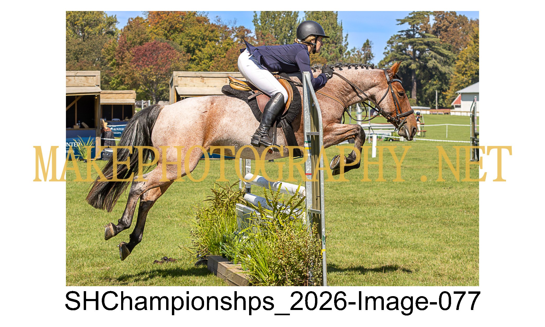 showhunter 2026-077.jpg