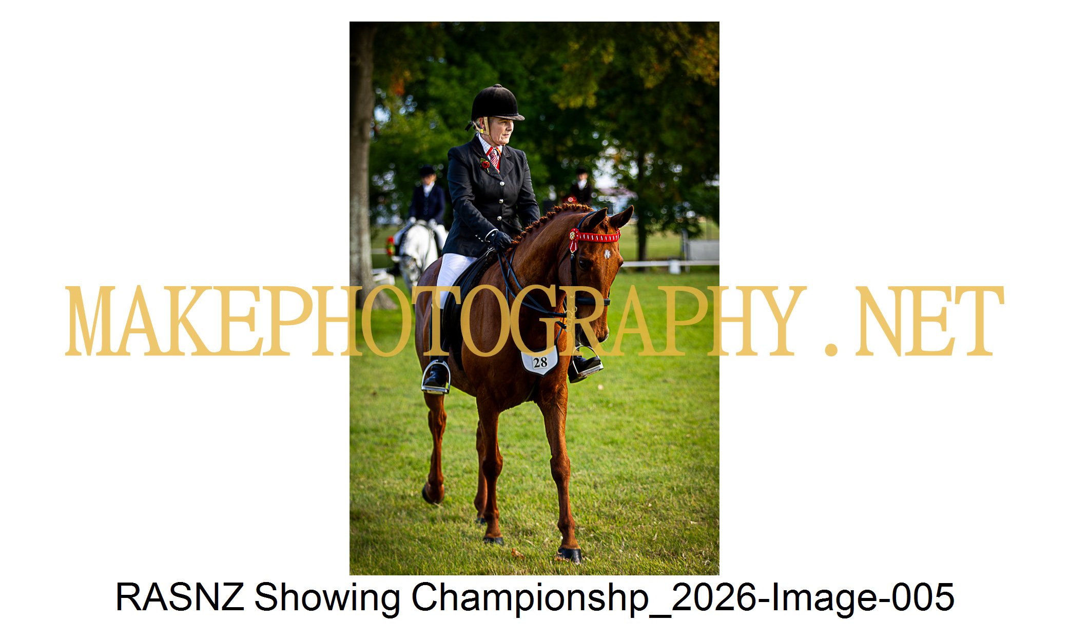 RASNZ Showing Championship 2026-05.jpg