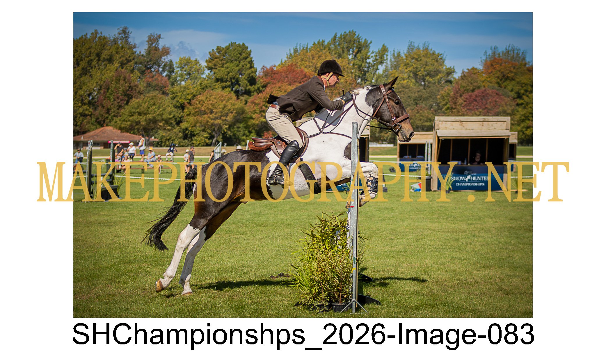 showhunter 2026-083.jpg