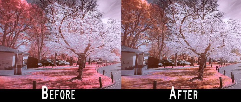  Lightroom's New Variance Slider for Infrared Photography