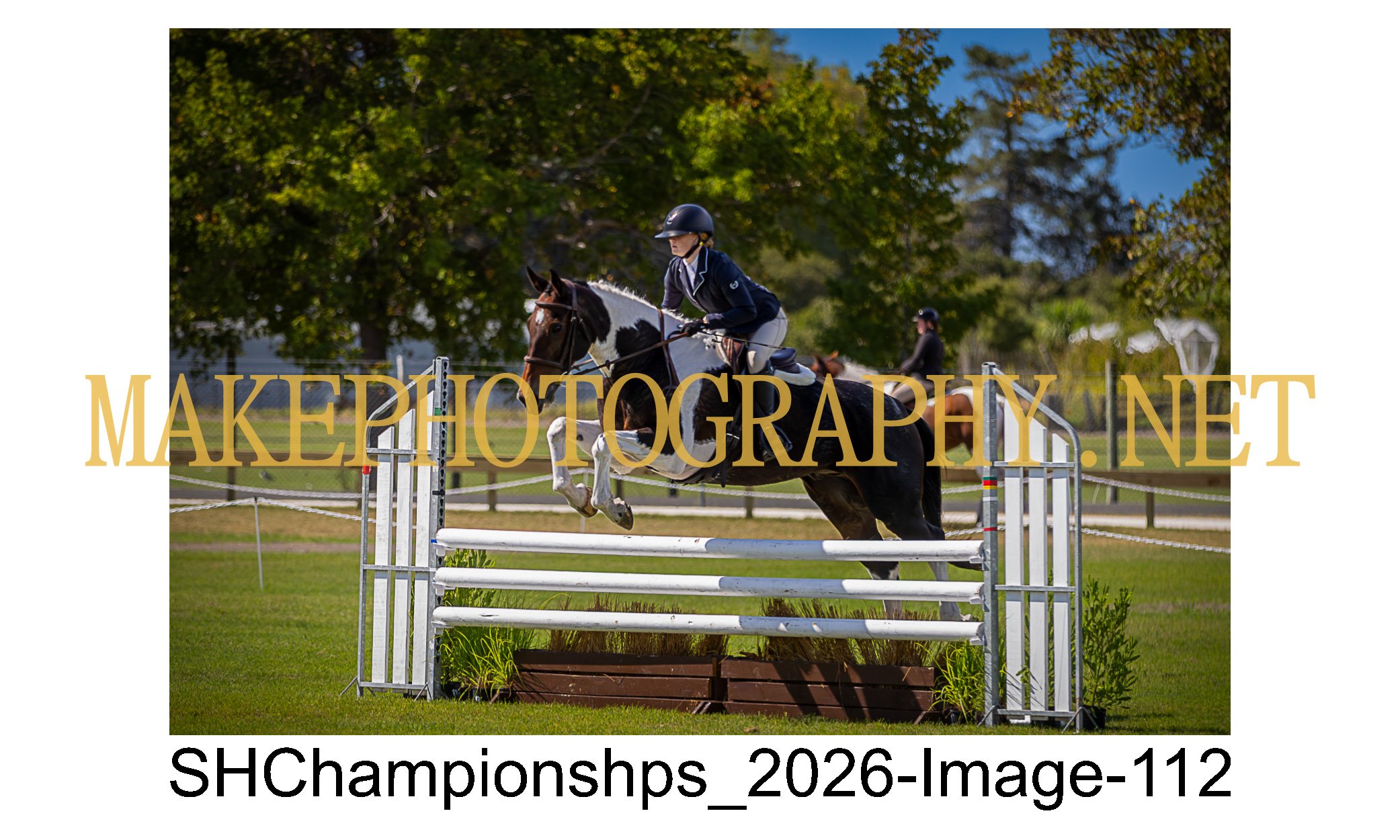 showhunter 2026-112.jpg