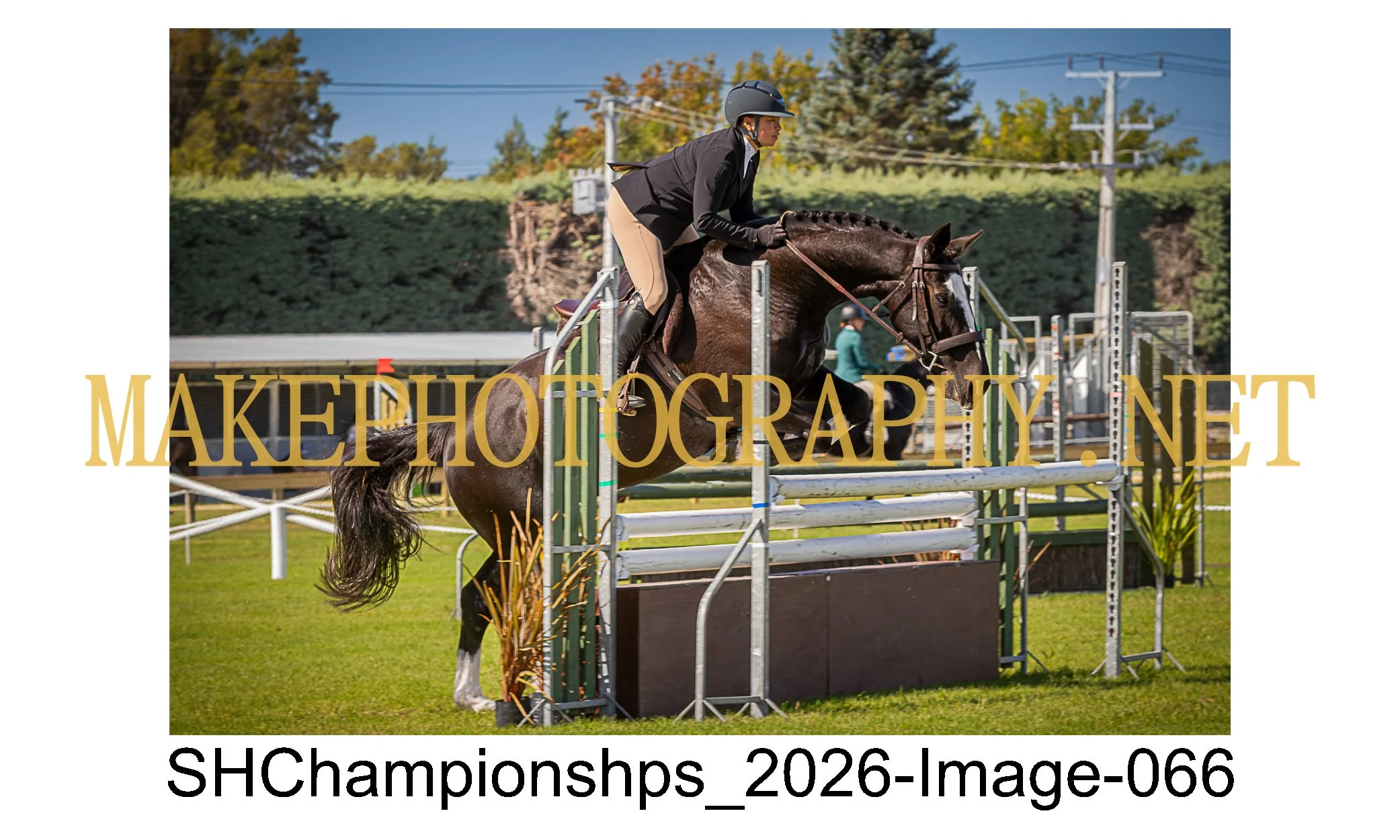 showhunter 2026-066.jpg