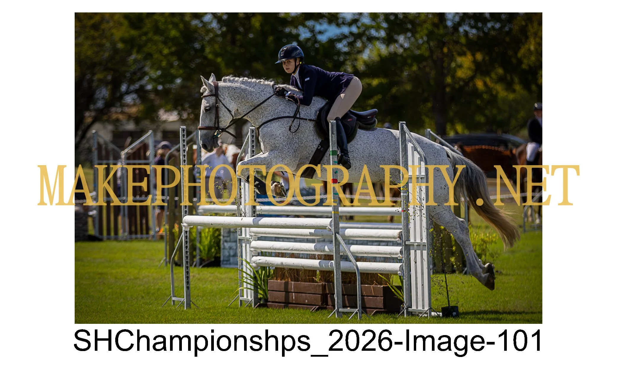 showhunter 2026-101.jpg