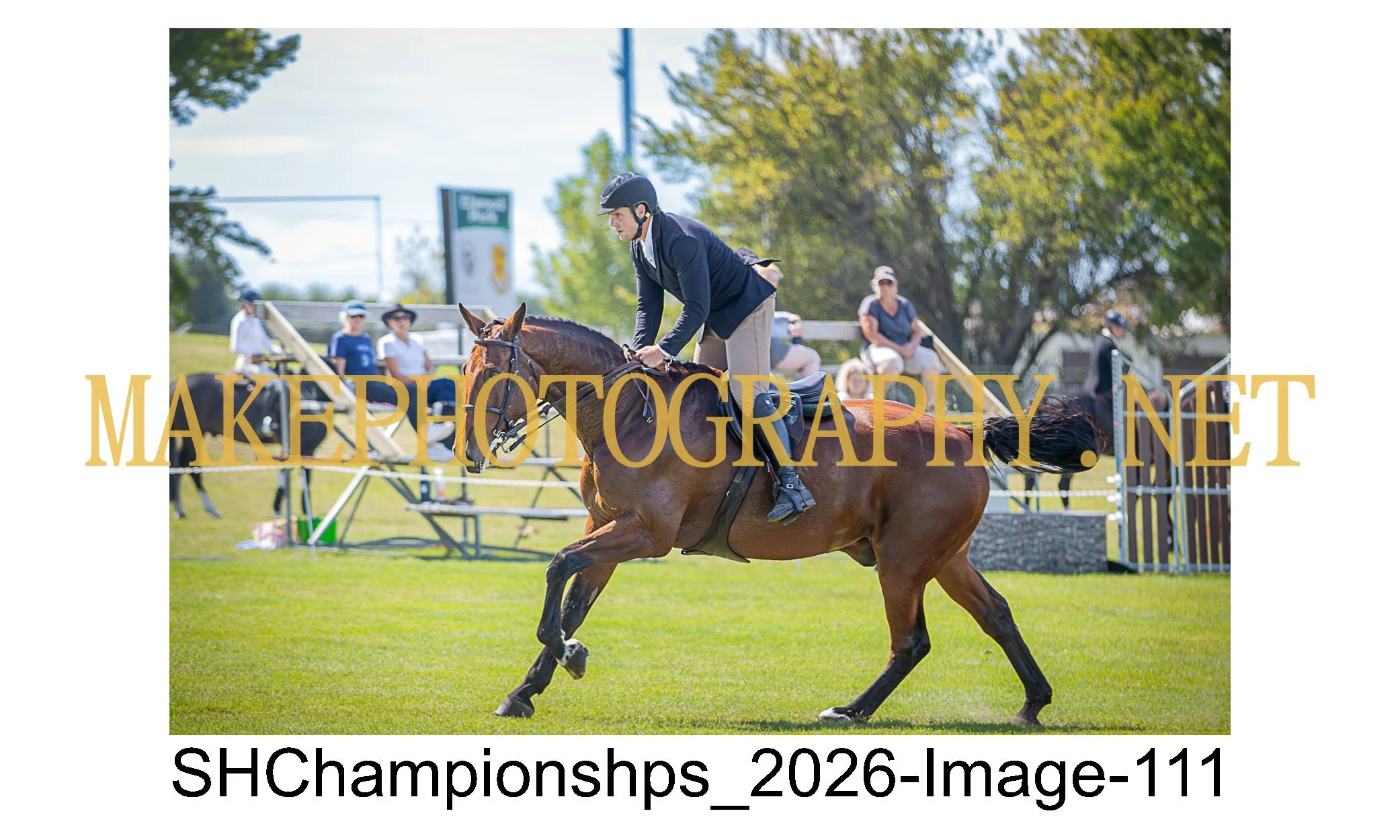 showhunter 2026-111.jpg