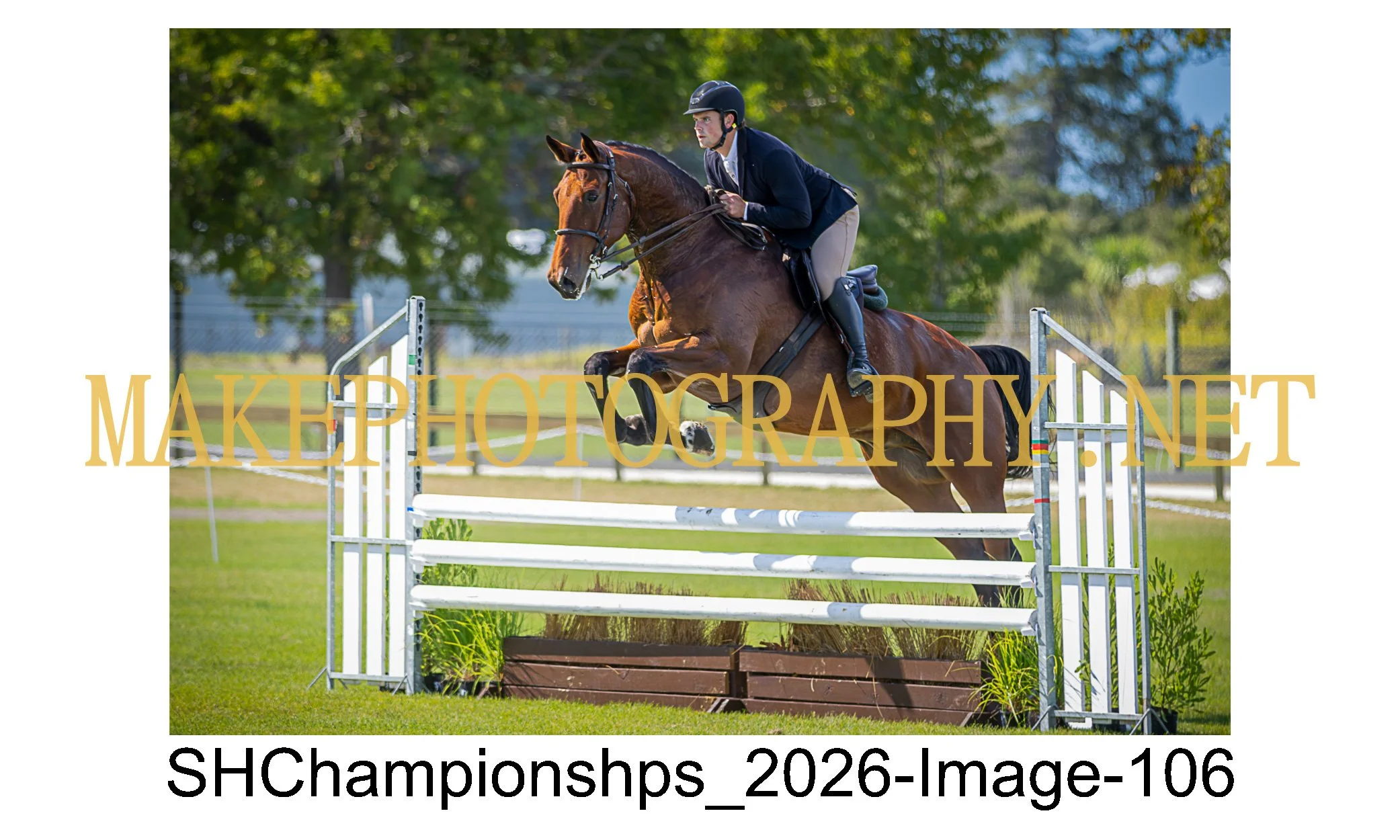 showhunter 2026-106.jpg