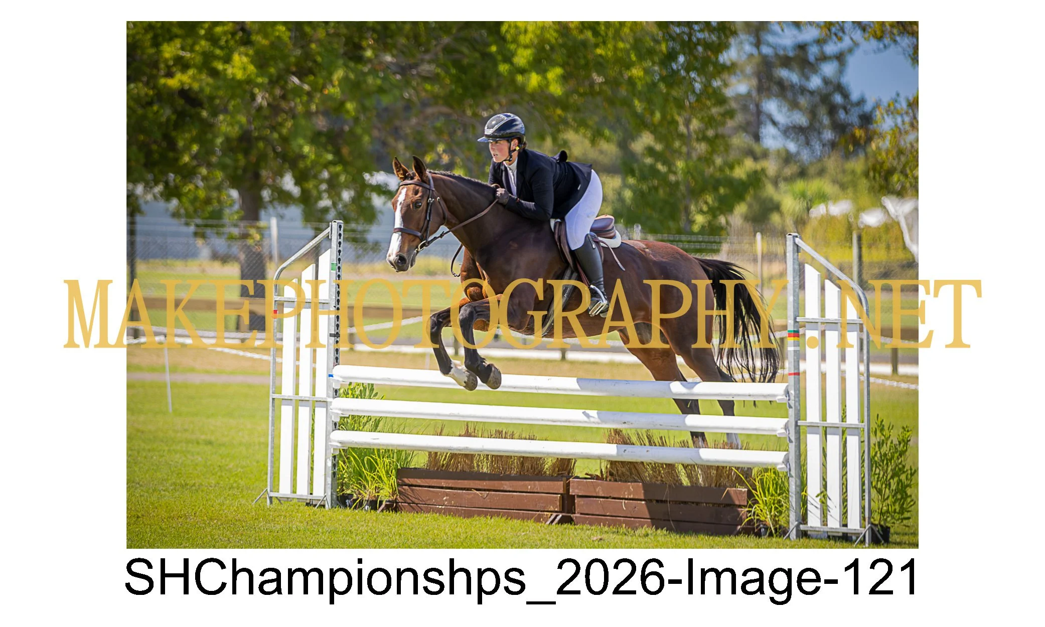 showhunter 2026-121.jpg