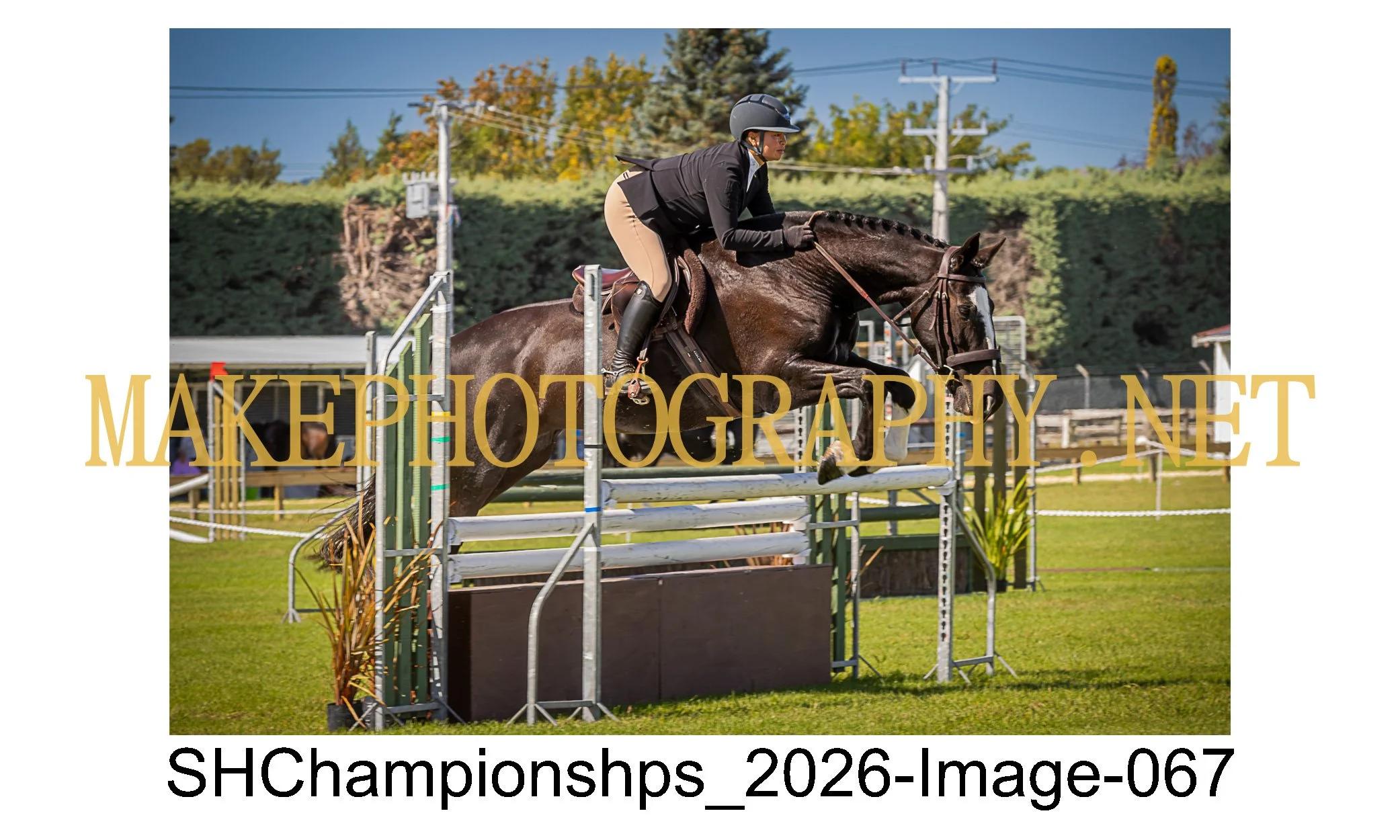 showhunter 2026-067.jpg