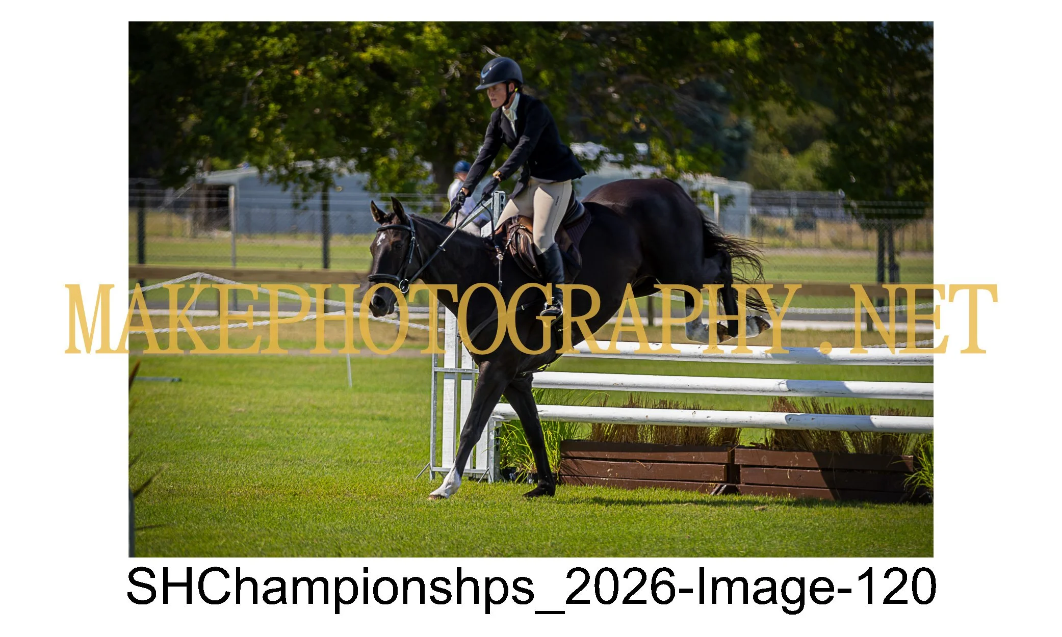 showhunter 2026-120.jpg