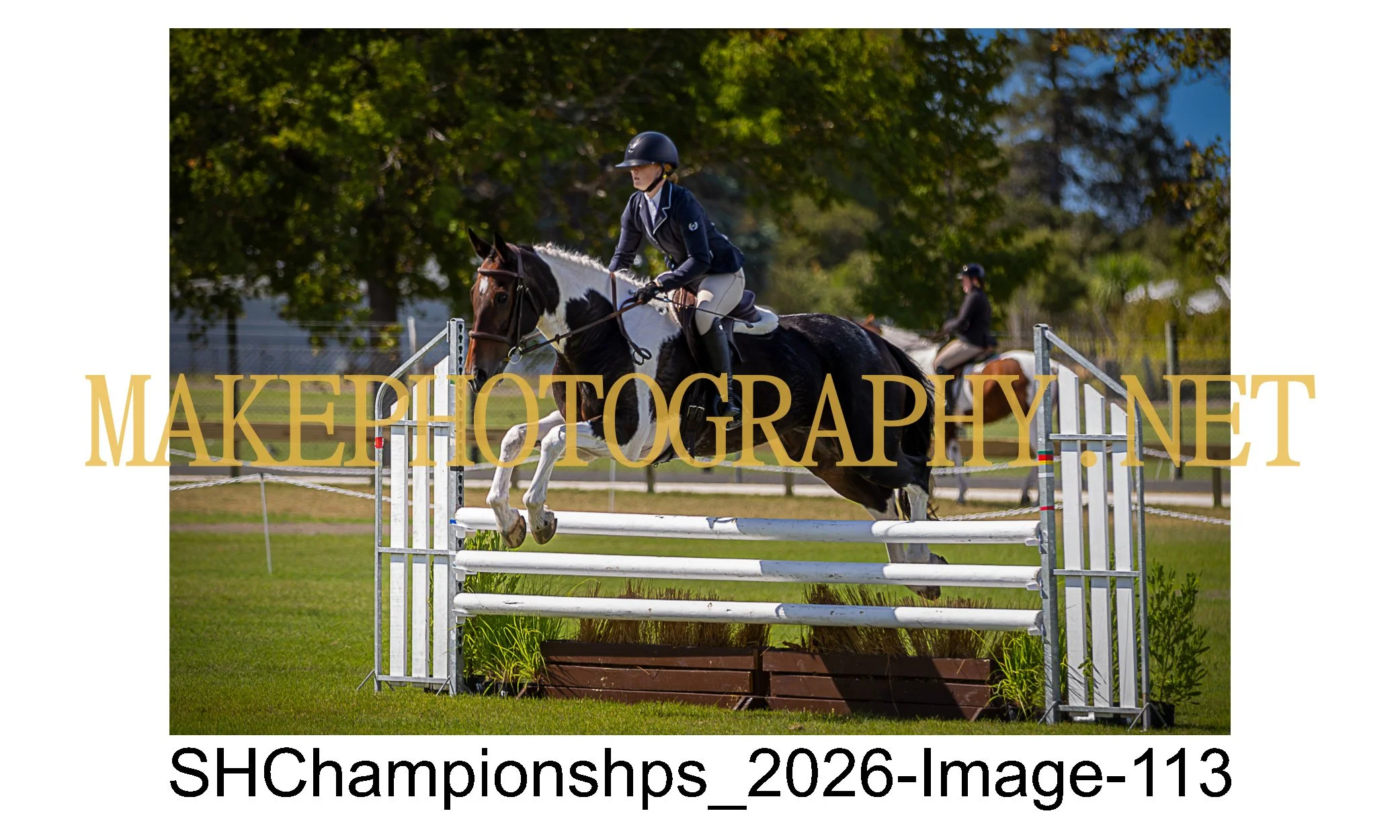 showhunter 2026-113.jpg