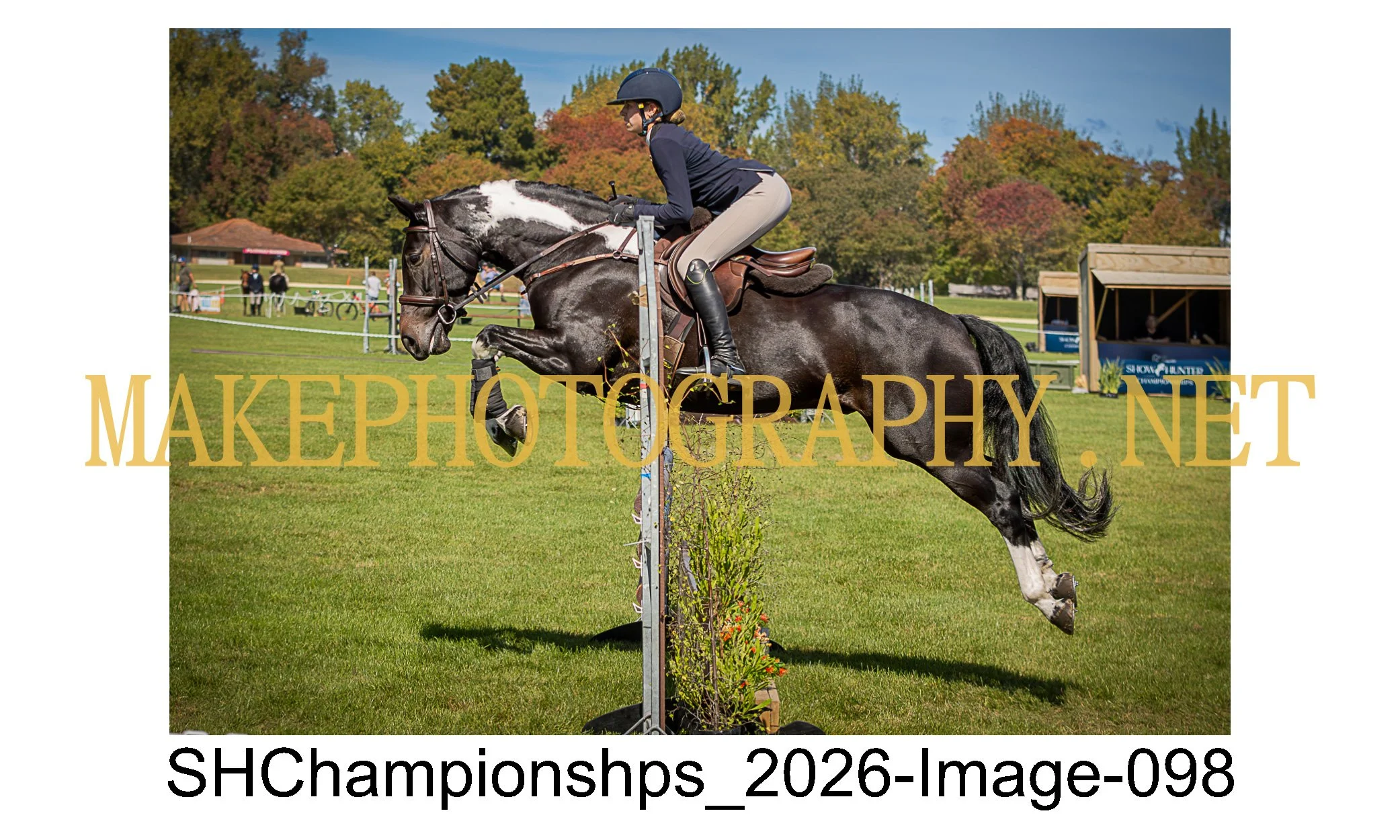 showhunter 2026-098.jpg