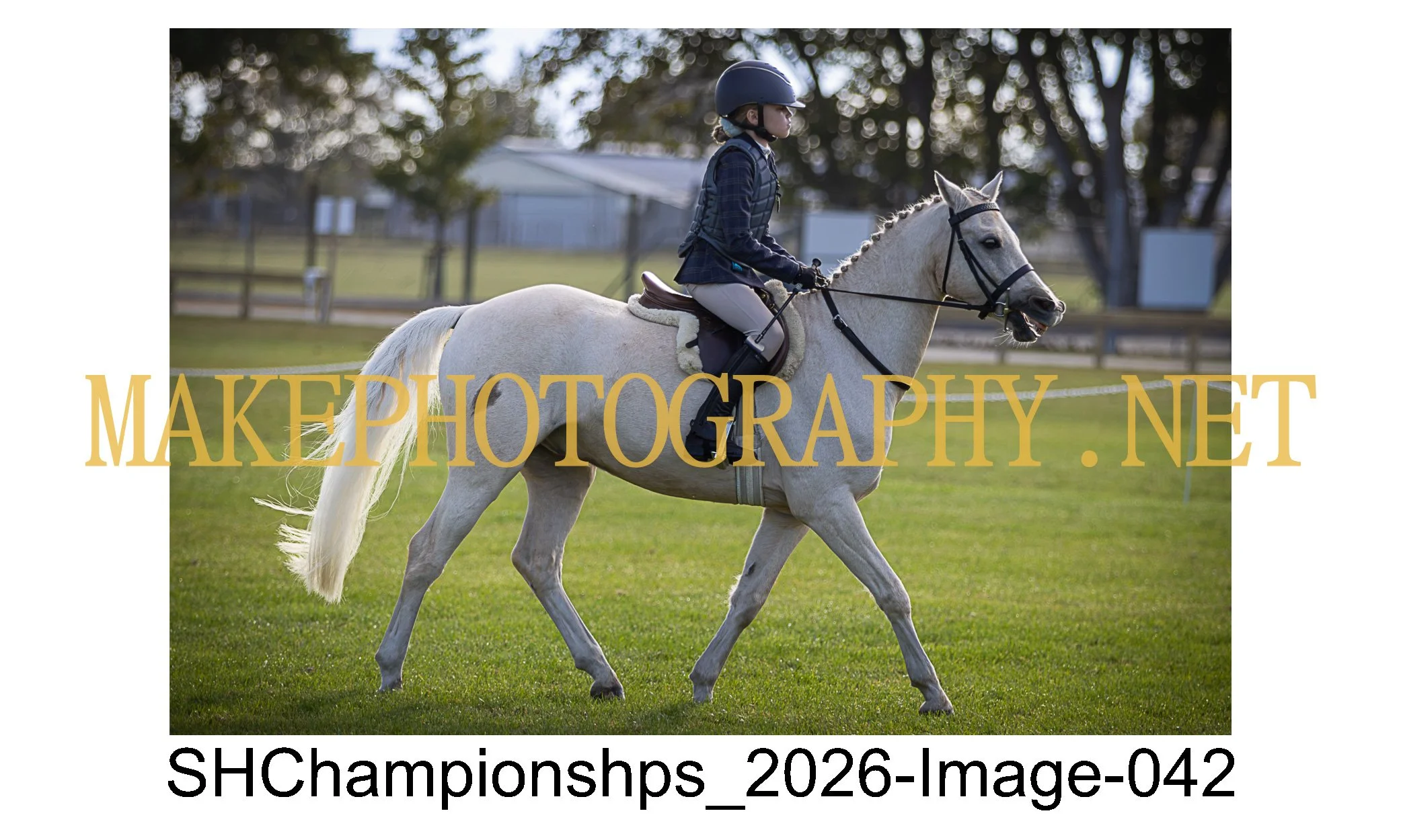 showhunter 2026-042.jpg