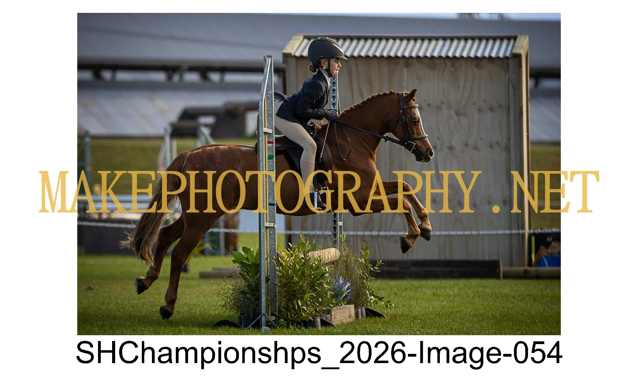 showhunter 2026-054.jpg