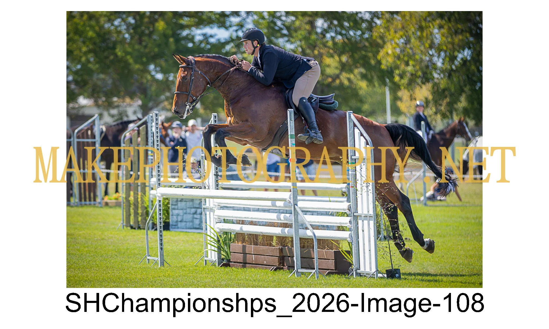 showhunter 2026-108.jpg