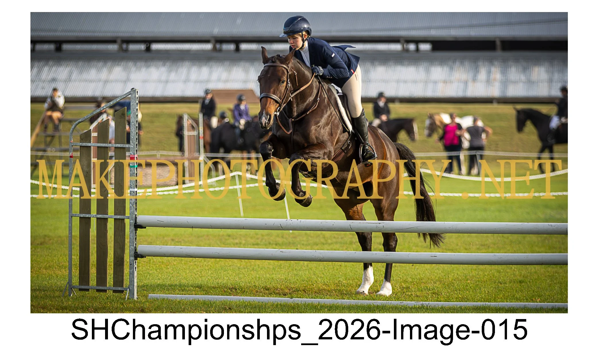 showhunter 2026-015.jpg