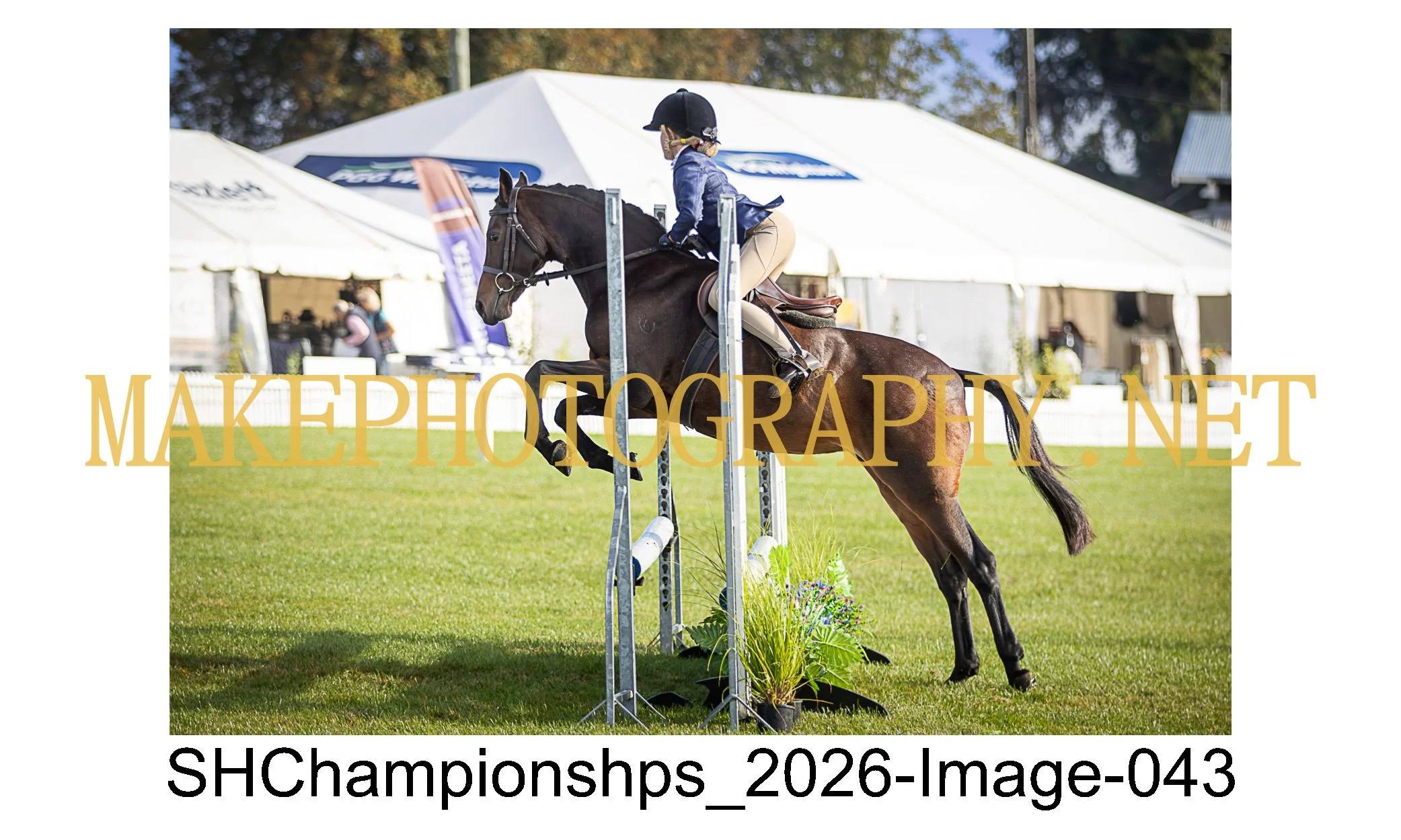 showhunter 2026-043.jpg