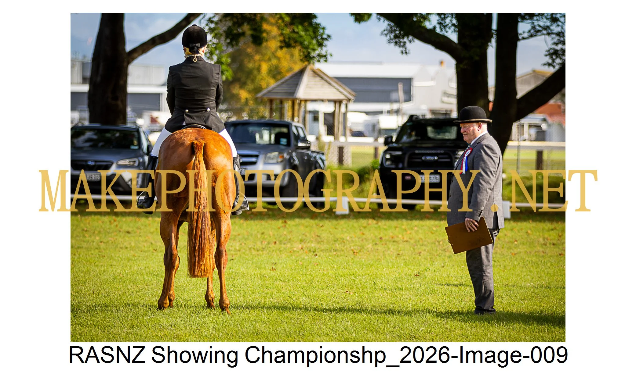 RASNZ Showing Championship 2026-09.jpg