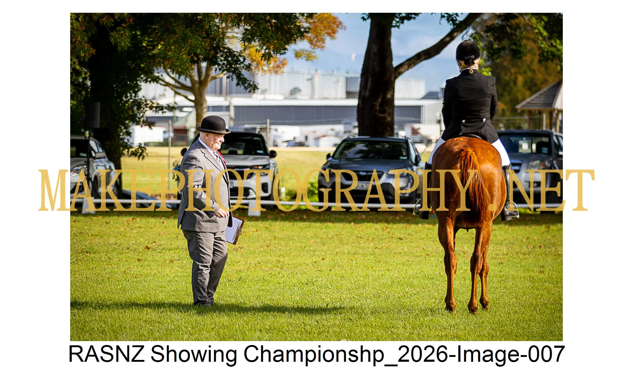 RASNZ Showing Championship 2026-07.jpg