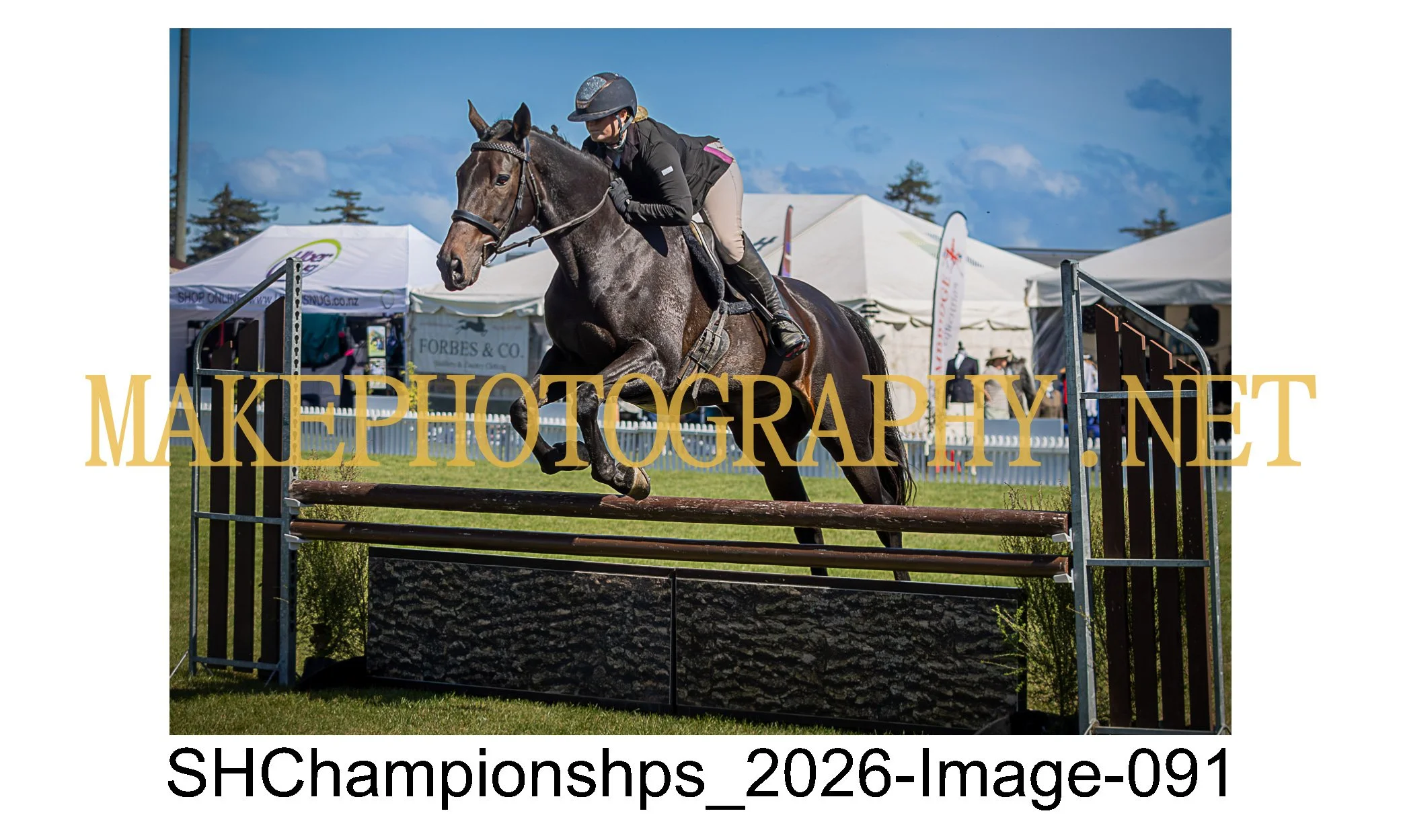 showhunter 2026-091.jpg