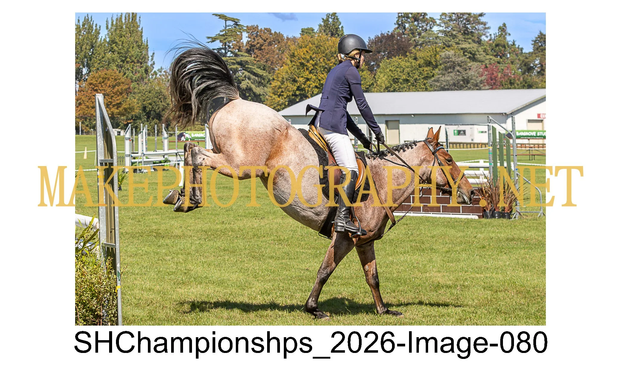 showhunter 2026-080.jpg