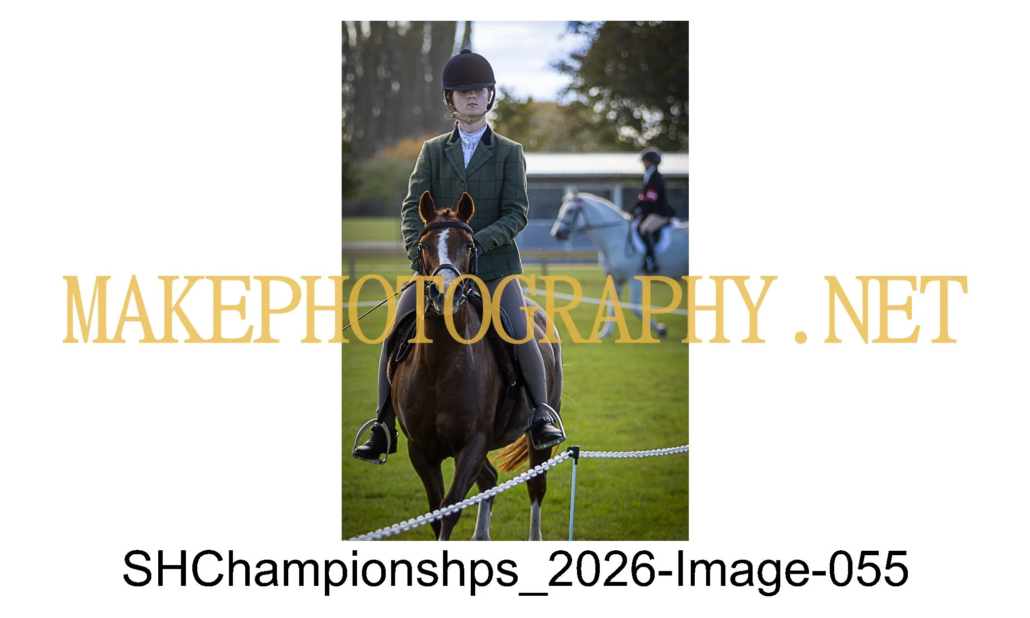 showhunter 2026-055.jpg