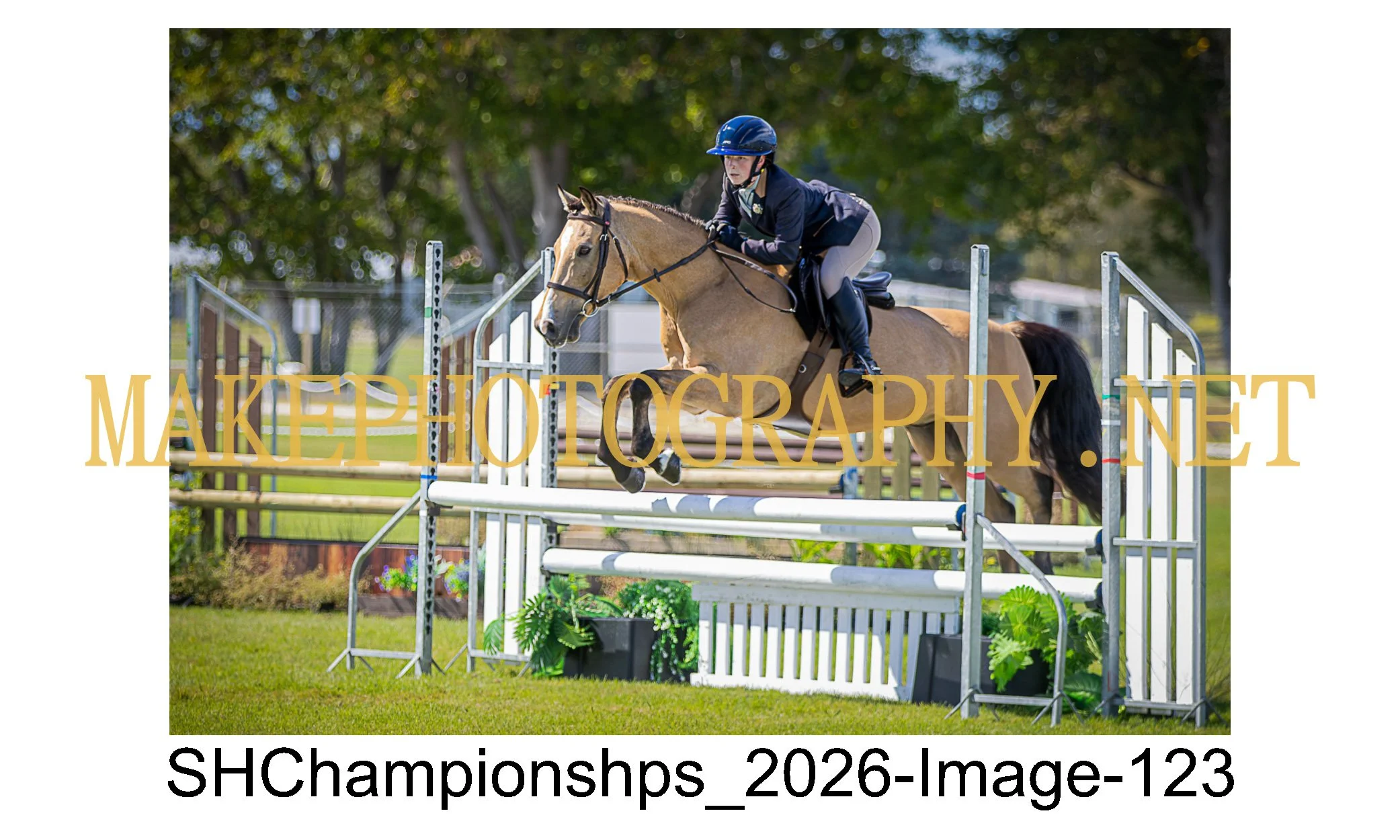 showhunter 2026-123.jpg