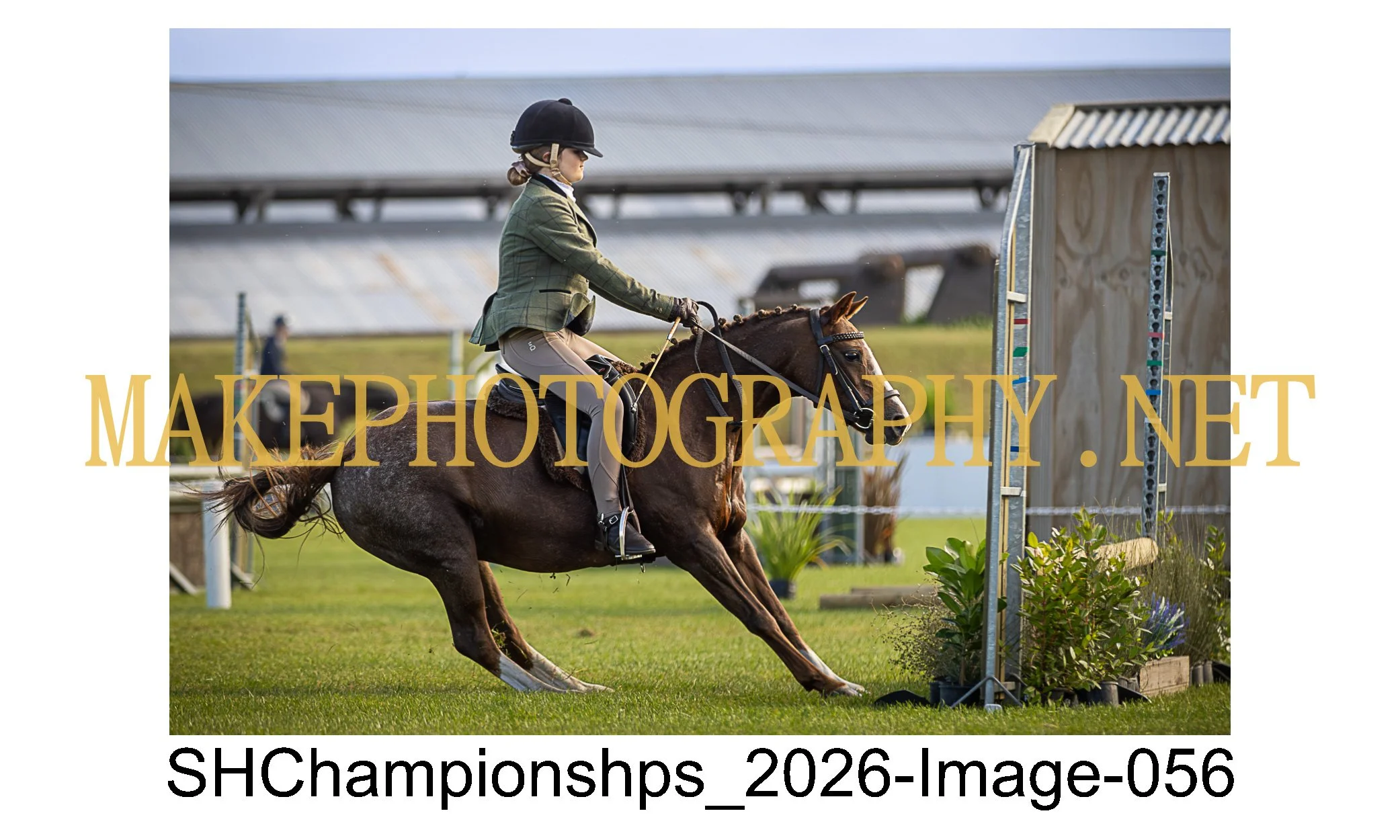 showhunter 2026-056.jpg