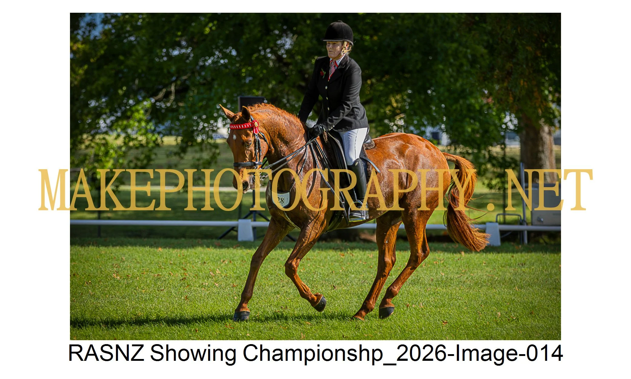 RASNZ Showing Championship 2026-14.jpg