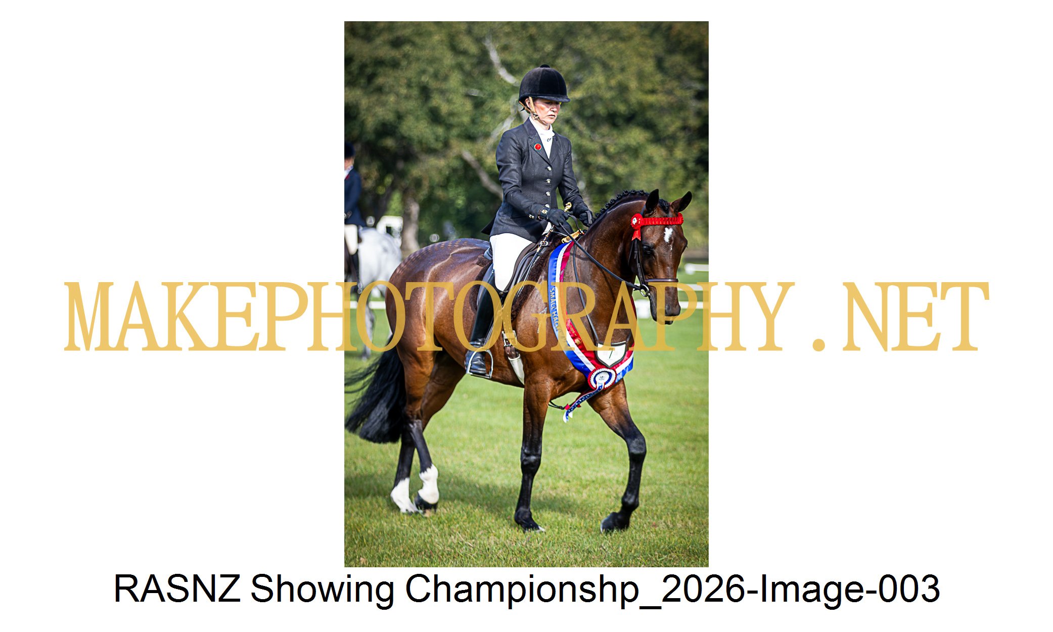 RASNZ Showing Championship 2026-03.jpg