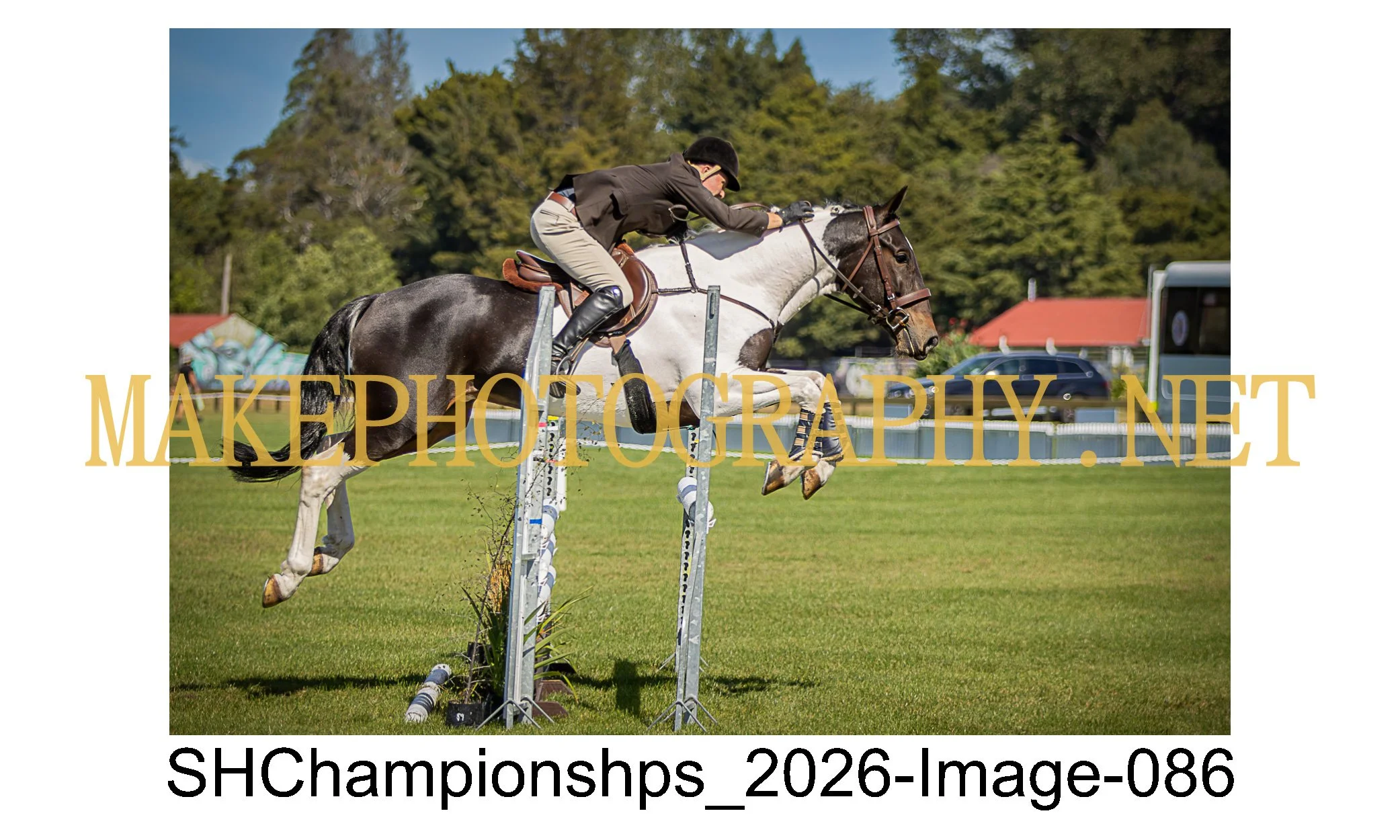 showhunter 2026-086.jpg