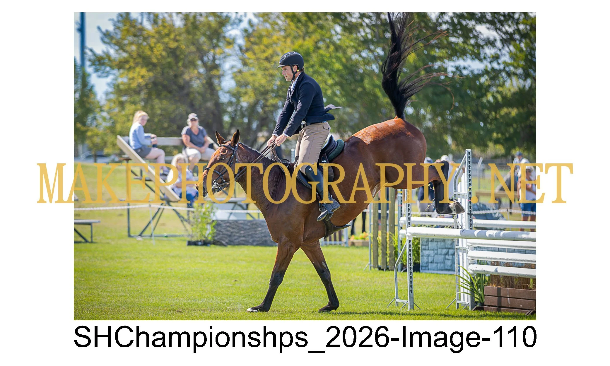 showhunter 2026-110.jpg