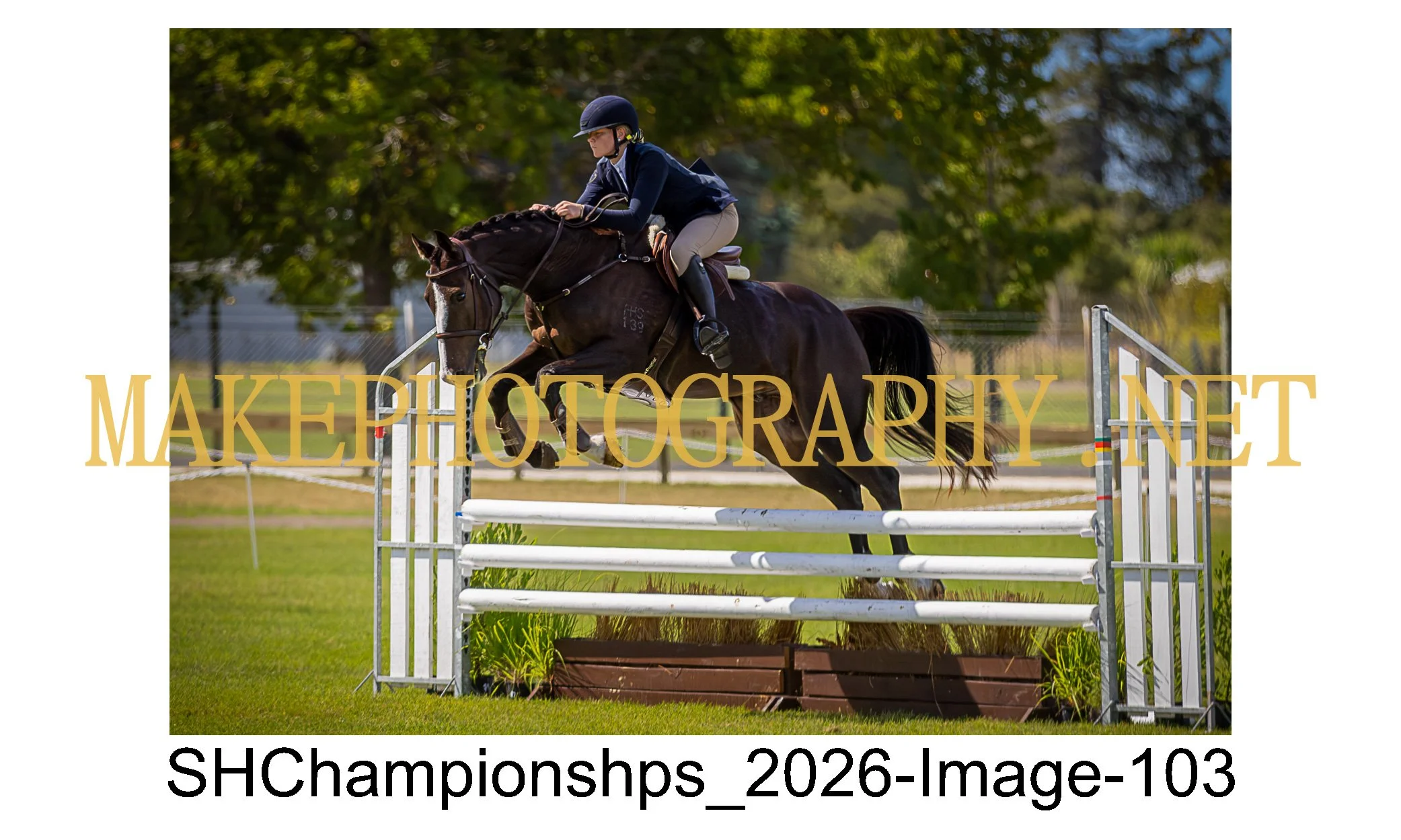 showhunter 2026-103.jpg