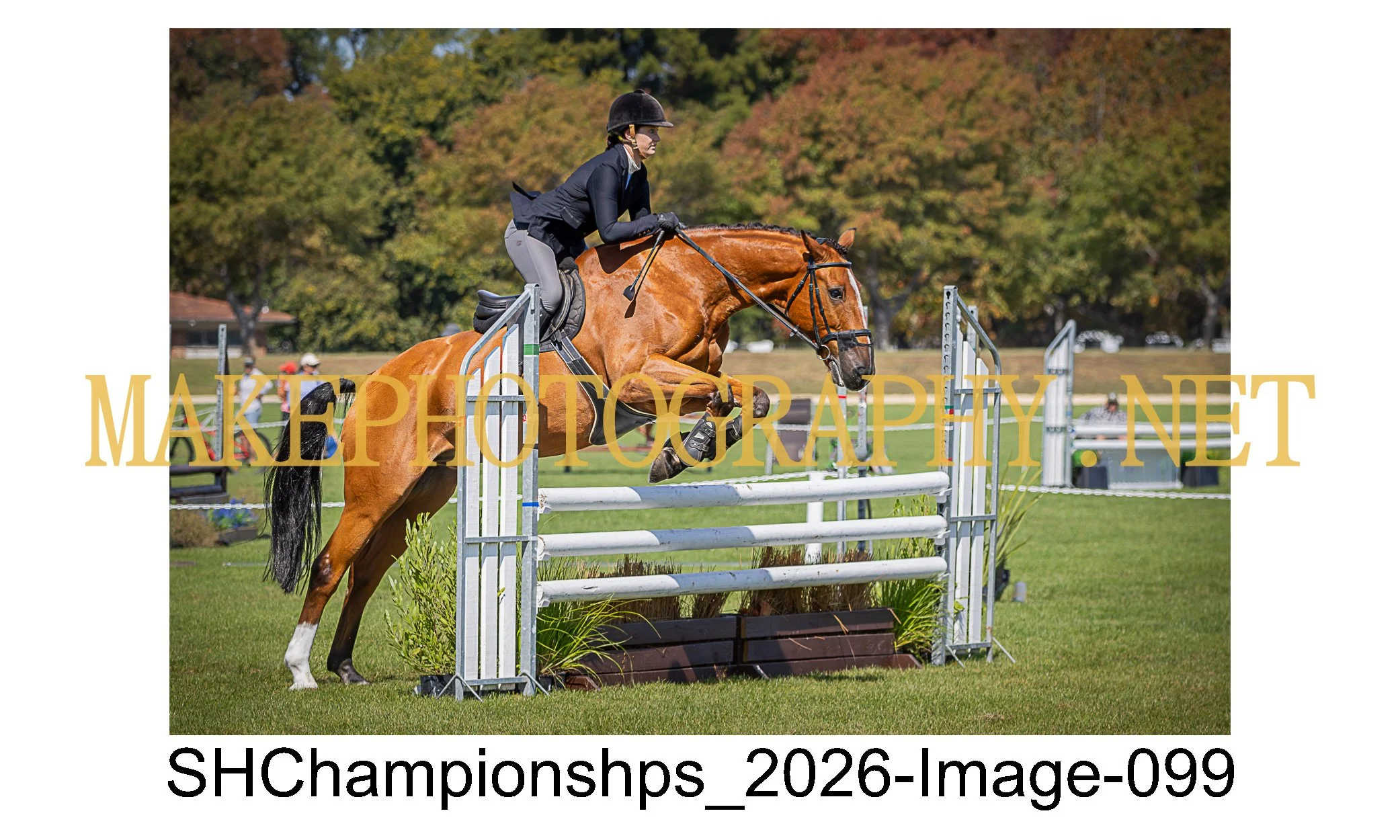 showhunter 2026-099.jpg