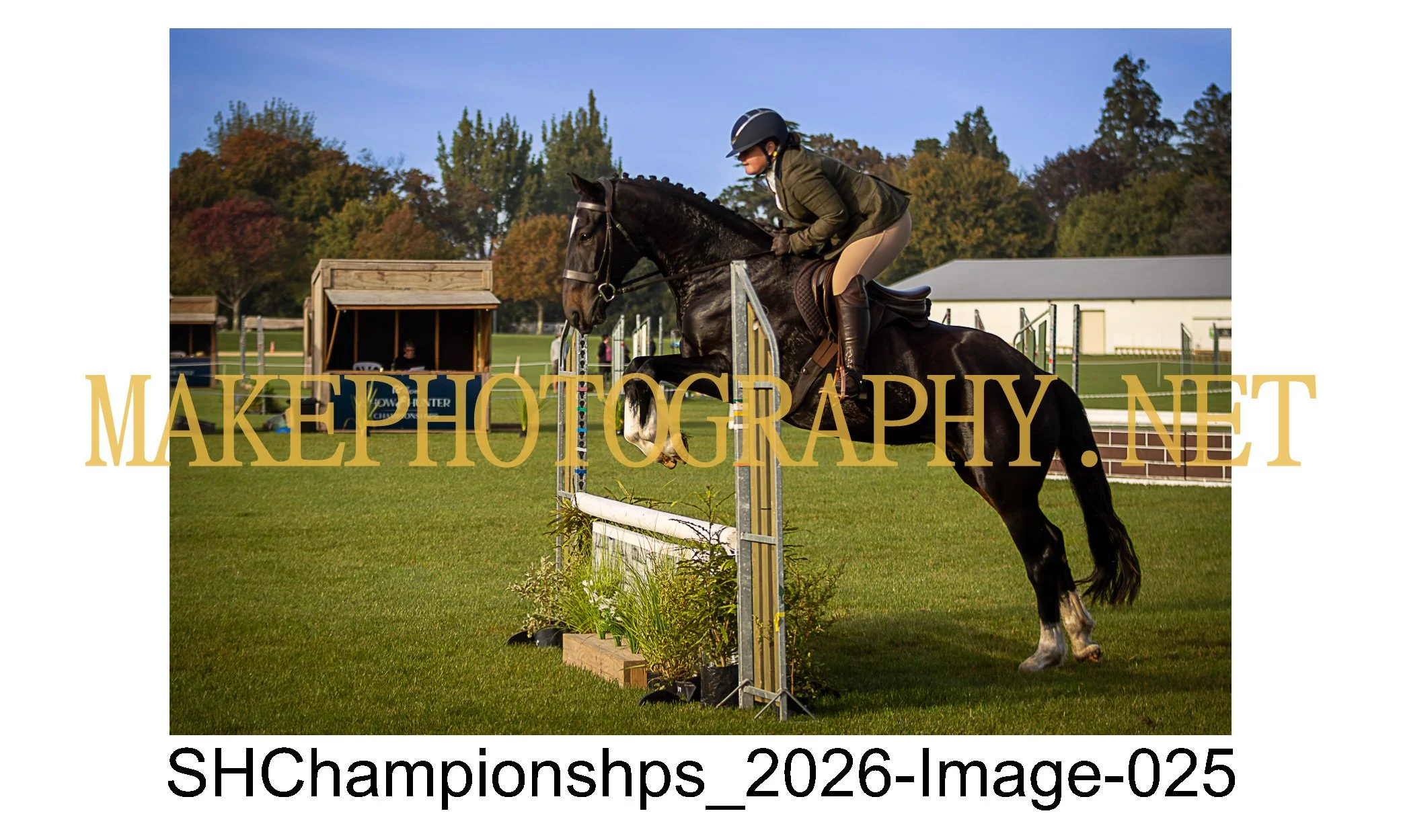 showhunter 2026-025.jpg