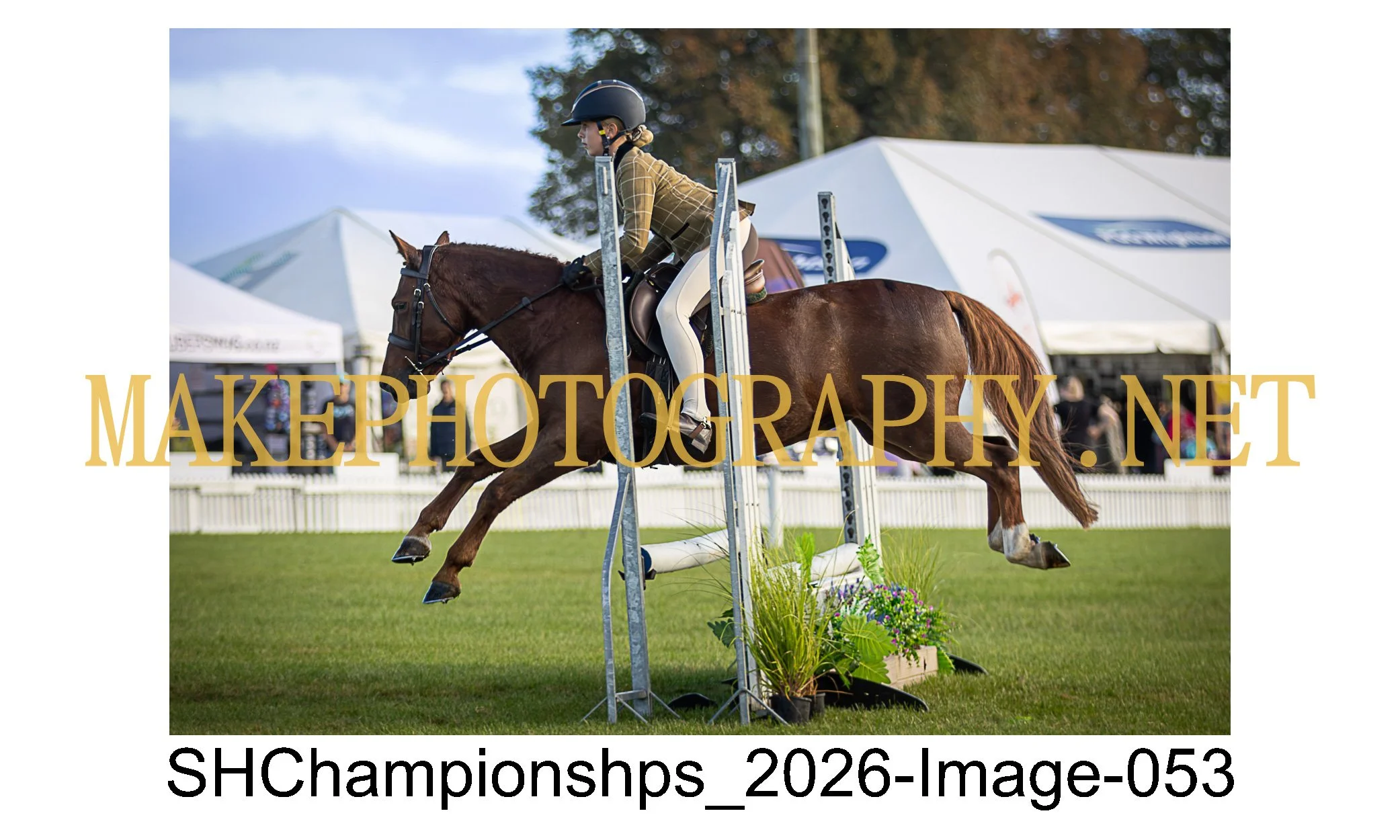 showhunter 2026-053.jpg