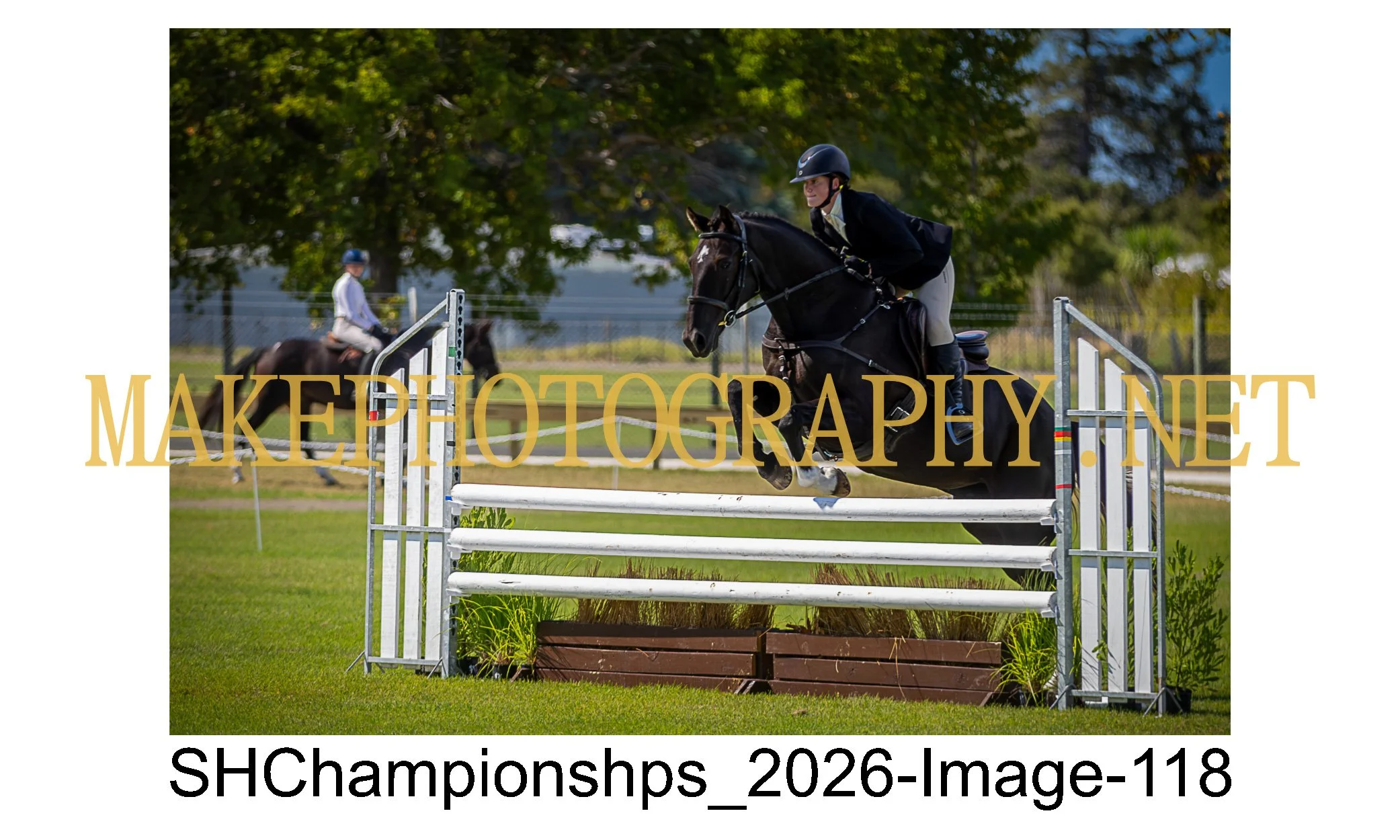 showhunter 2026-118.jpg