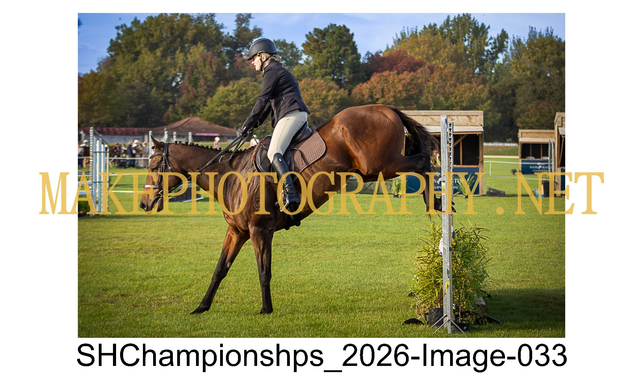 showhunter 2026-033.jpg